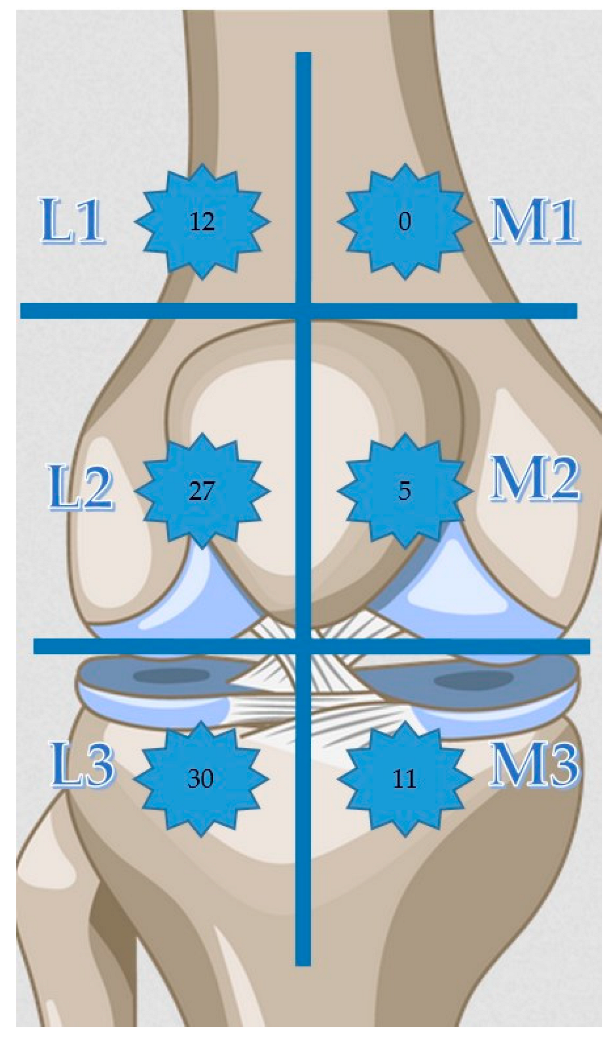 Medicina 58 01369 g001 Medicina 58 01369 g001