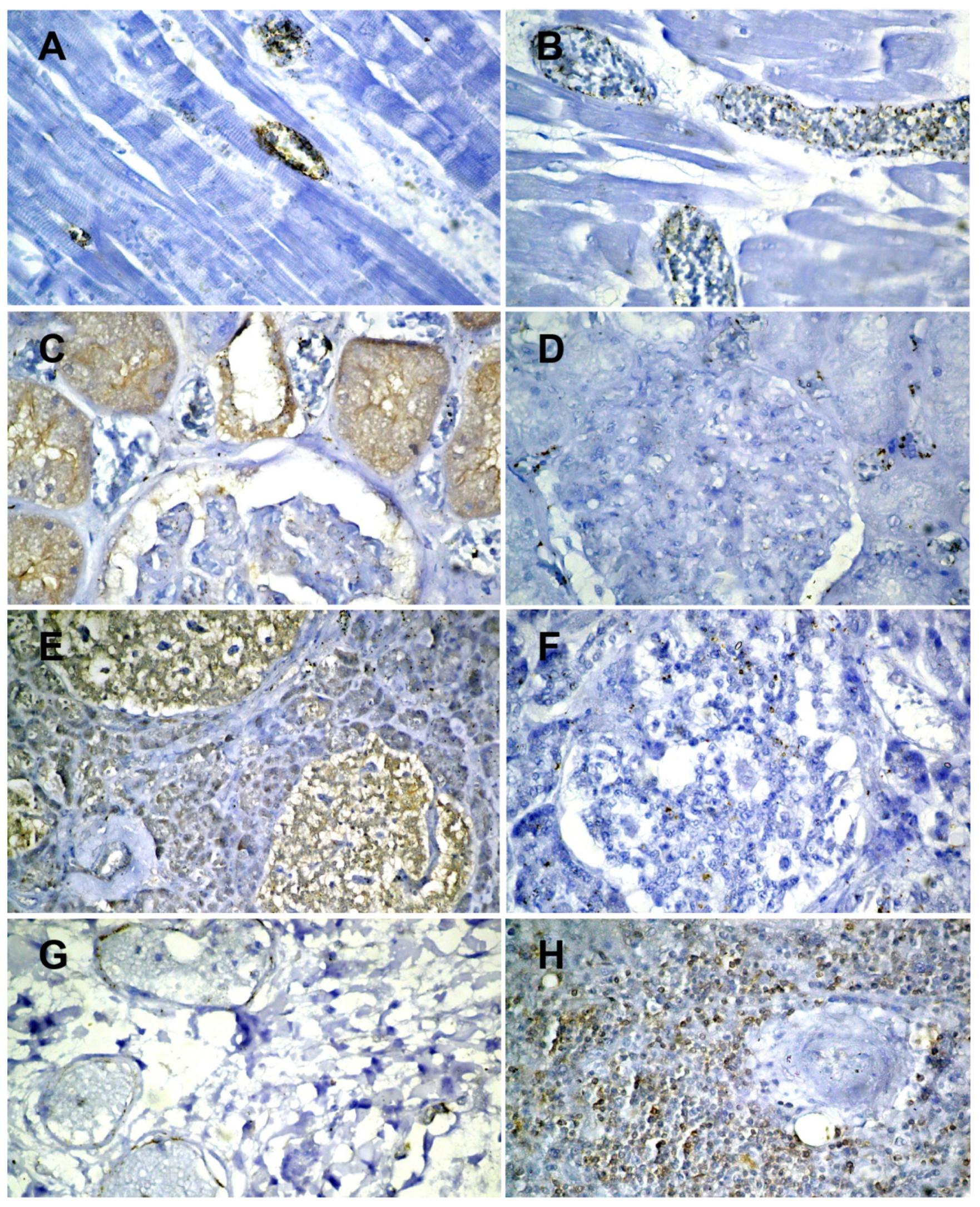 Medicina 58 01373 g003a Medicina 58 01373 g003a