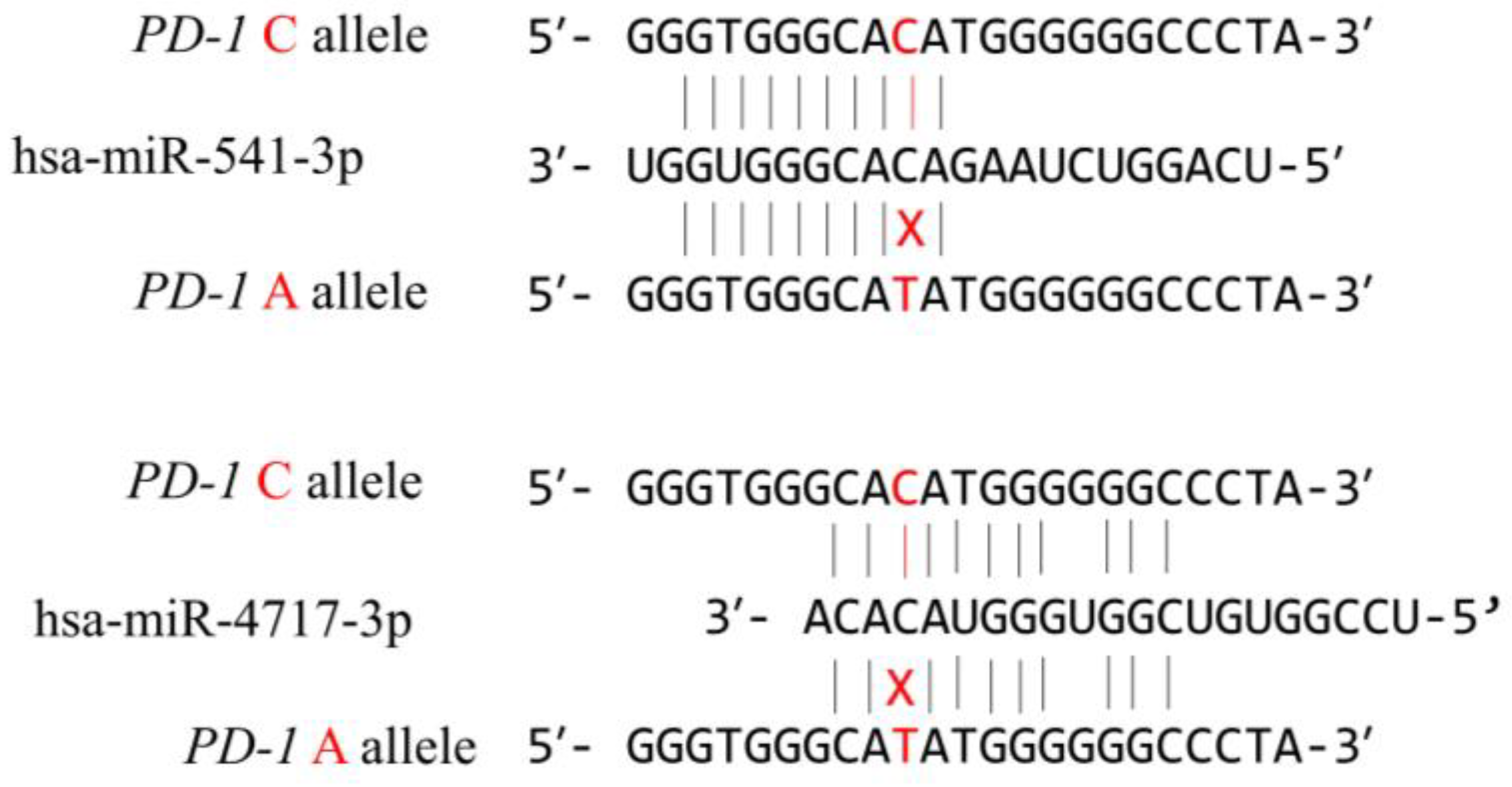 Medicina 58 01439 g003 Medicina 58 01439 g003