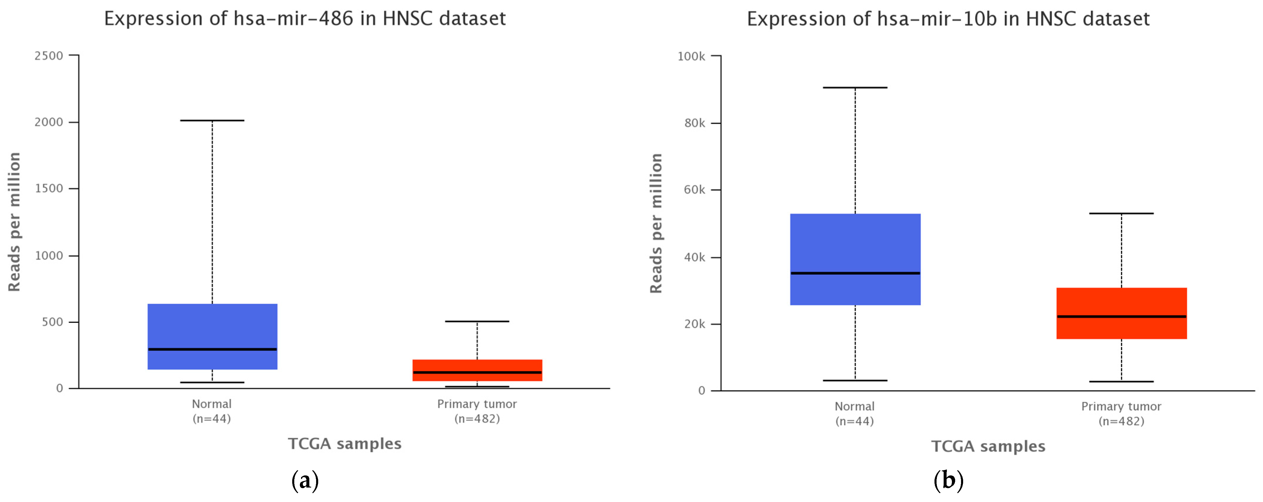 Medicina 58 01478 g002 Medicina 58 01478 g002