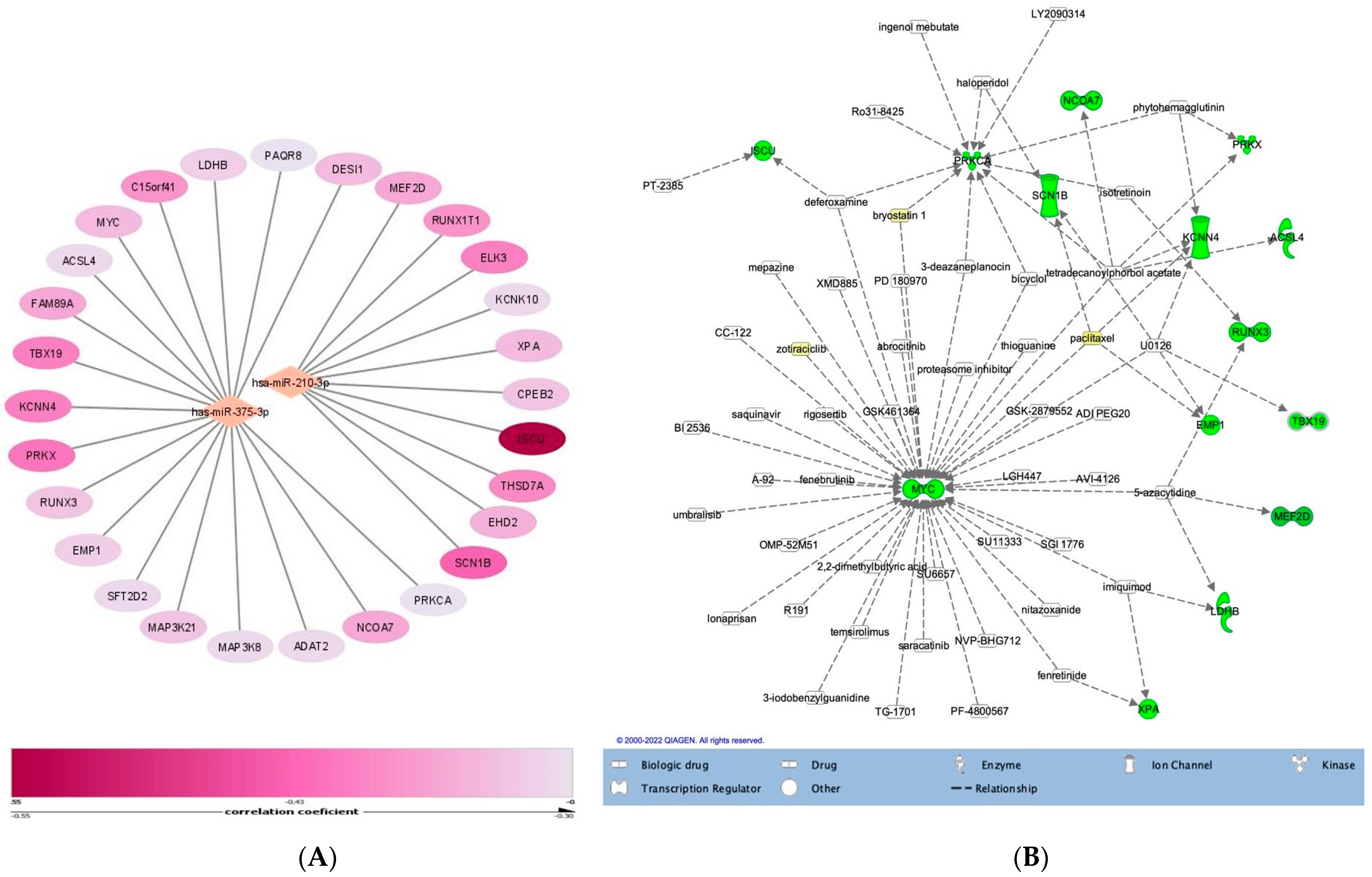 Medicina 58 01494 g004 Medicina 58 01494 g004
