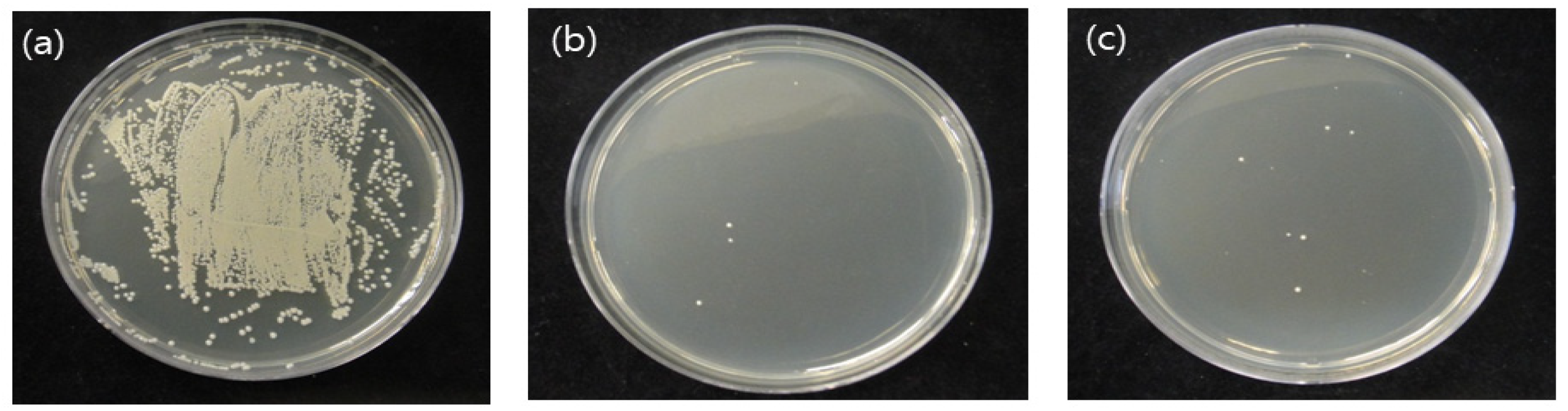 Medicina 58 01556 g002