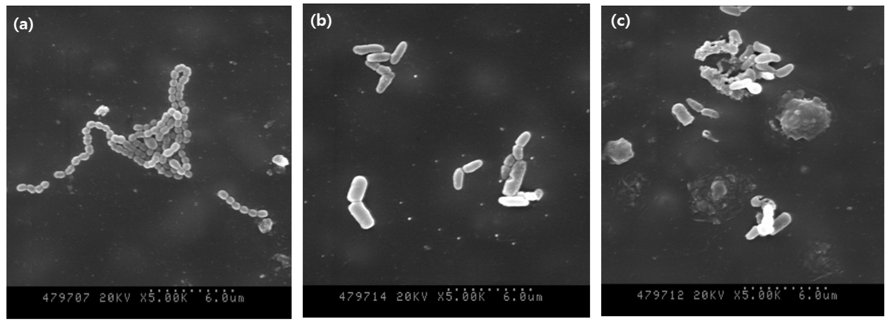 Medicina 58 01556 g003