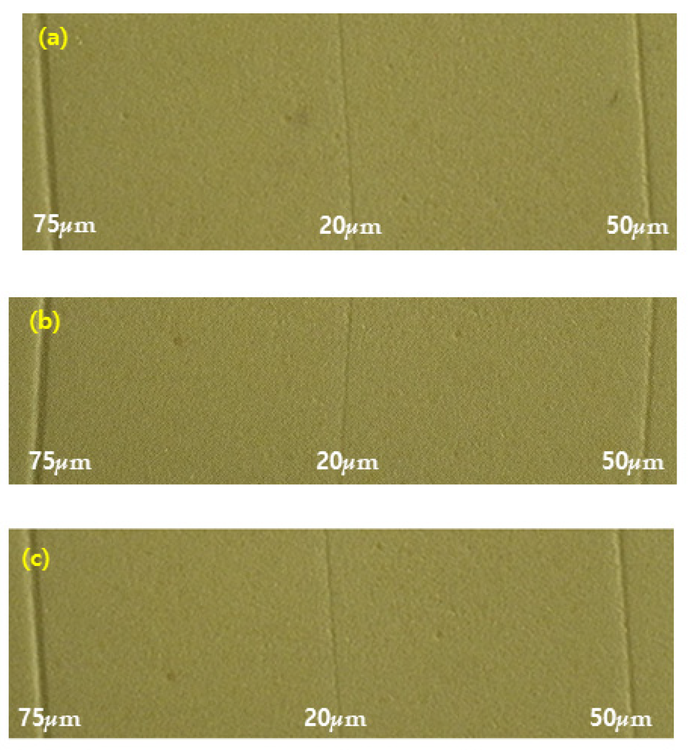 Medicina 58 01556 g007