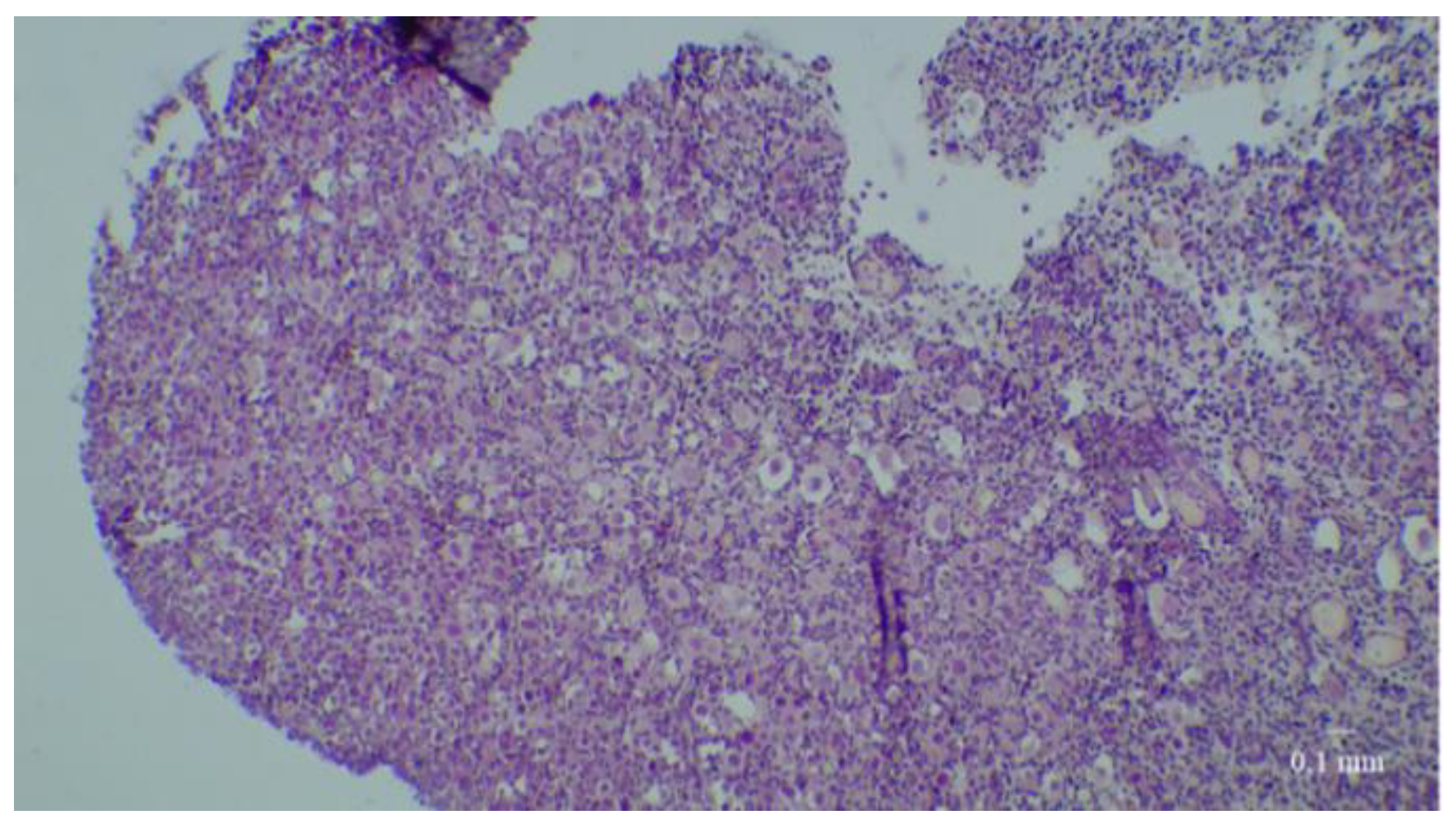 Medicina 58 01565 g002a