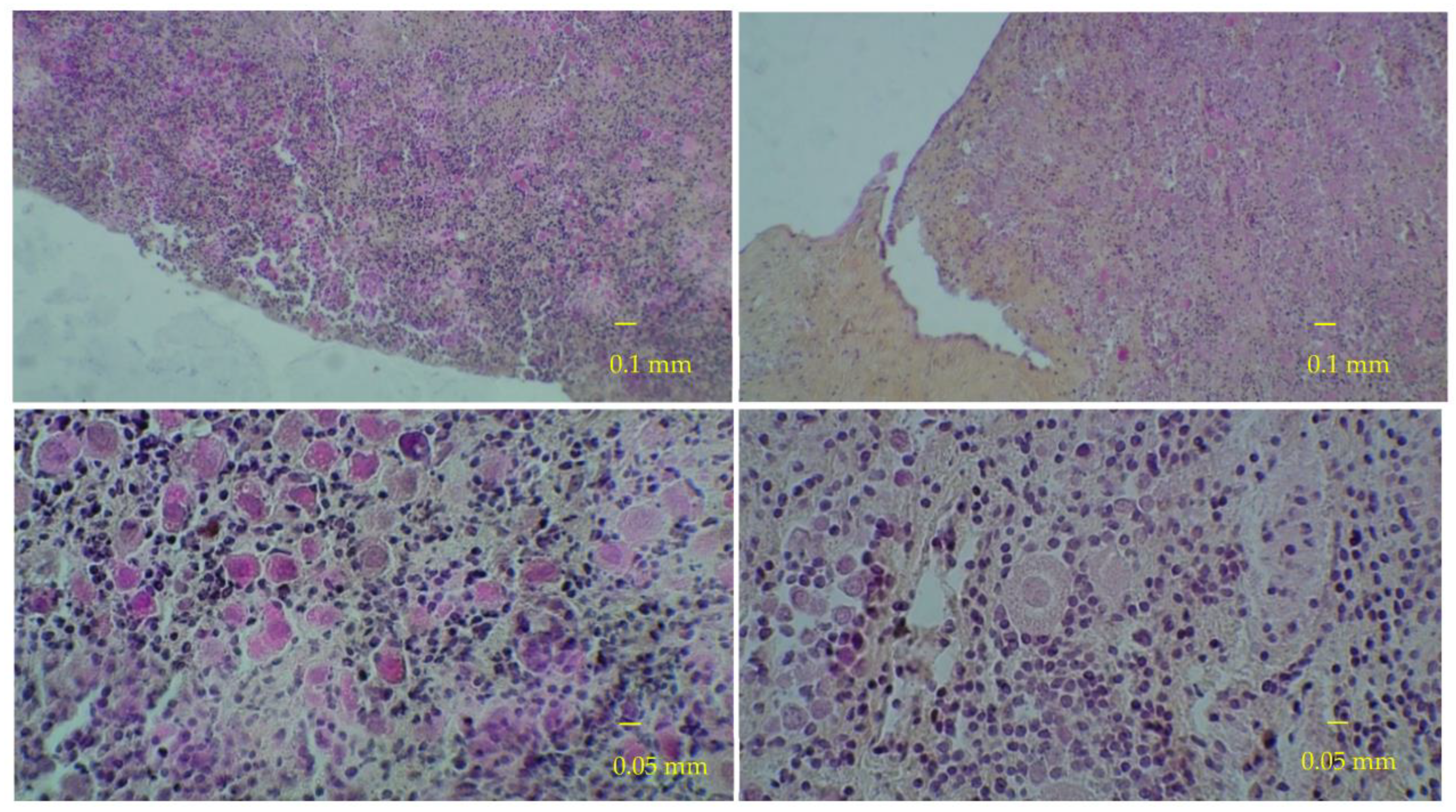 Medicina 58 01565 g004
