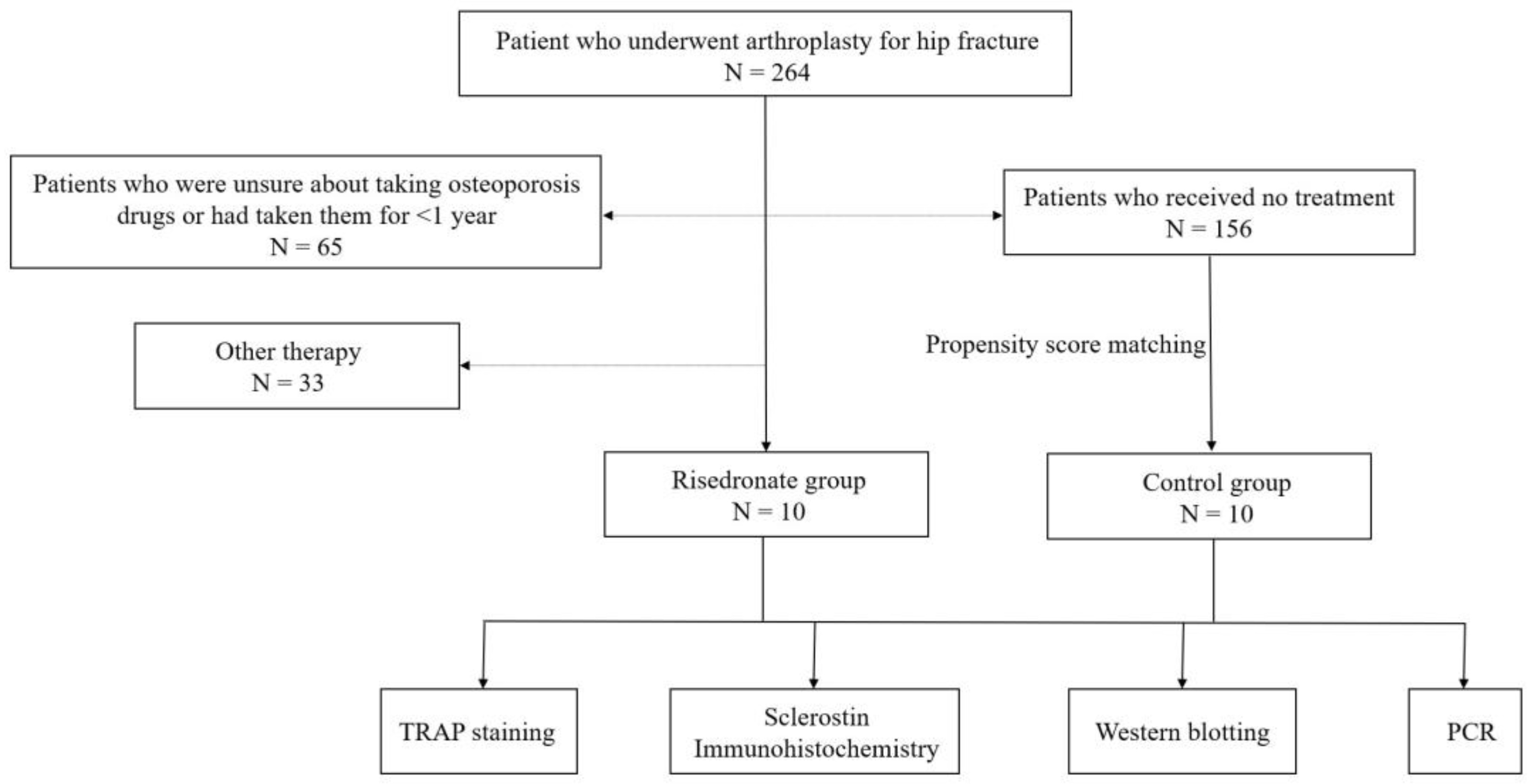 Medicina 58 01566 g001 Medicina 58 01566 g001