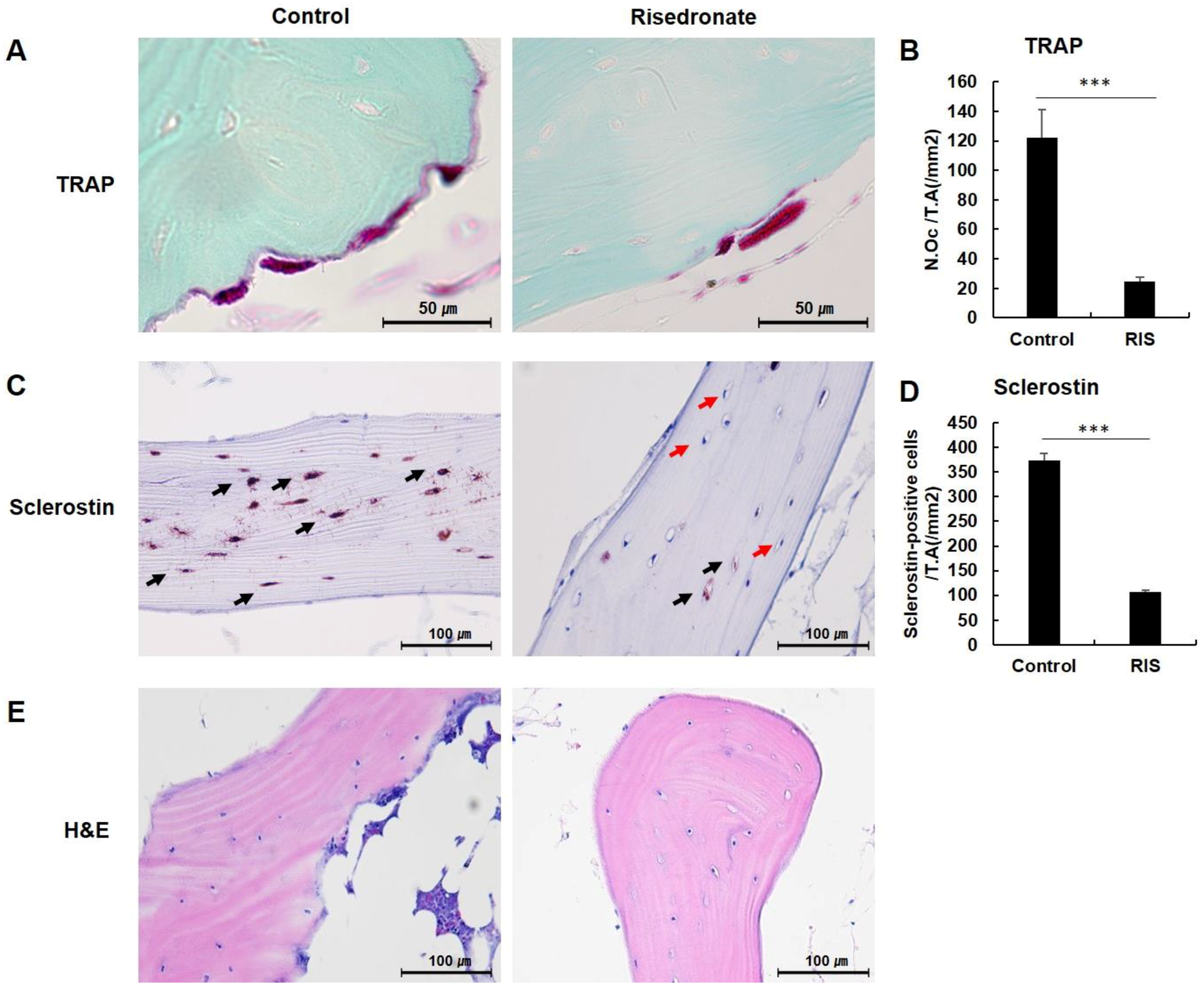 Medicina 58 01566 g002 Medicina 58 01566 g002