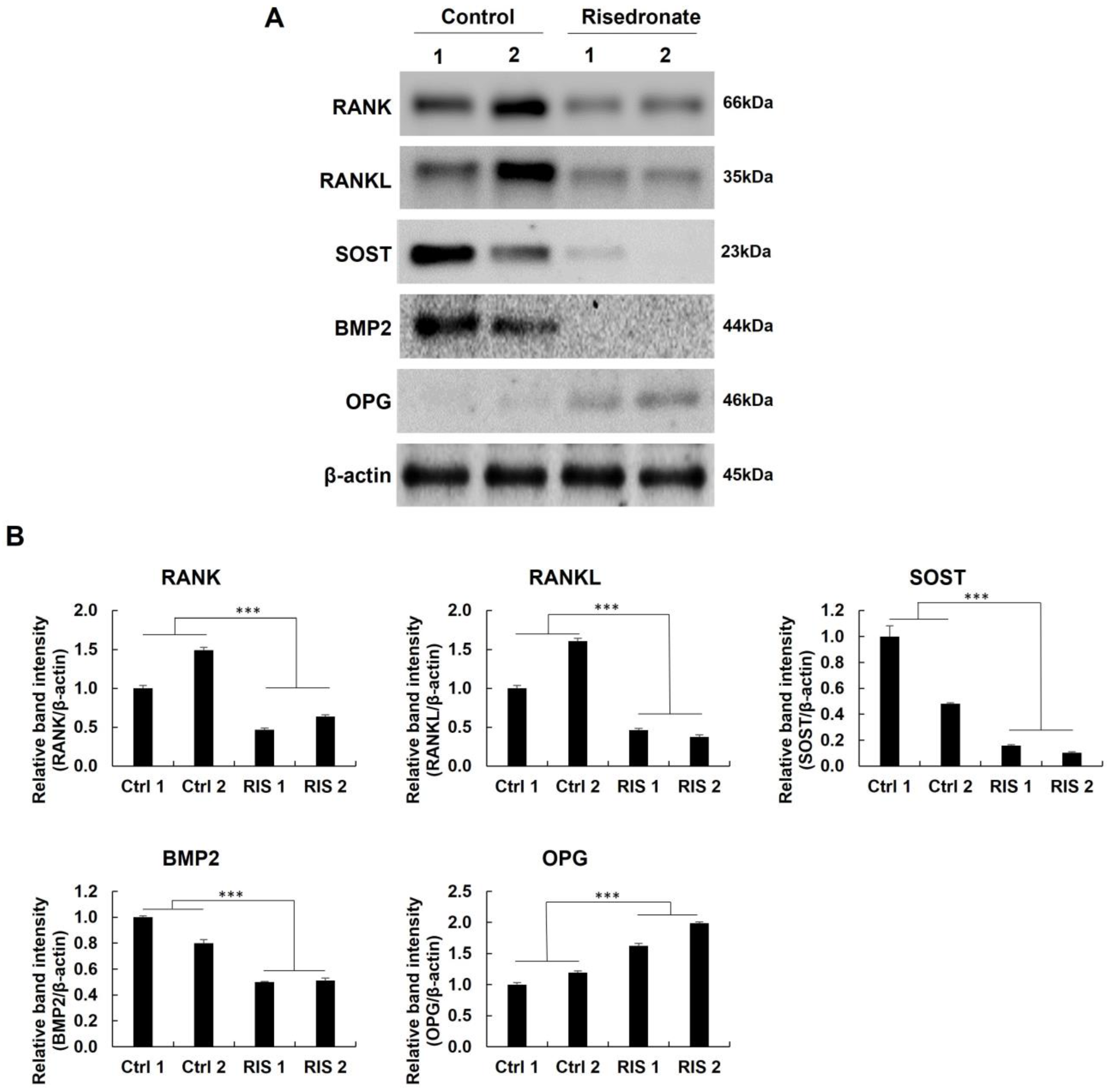 Medicina 58 01566 g003 Medicina 58 01566 g003