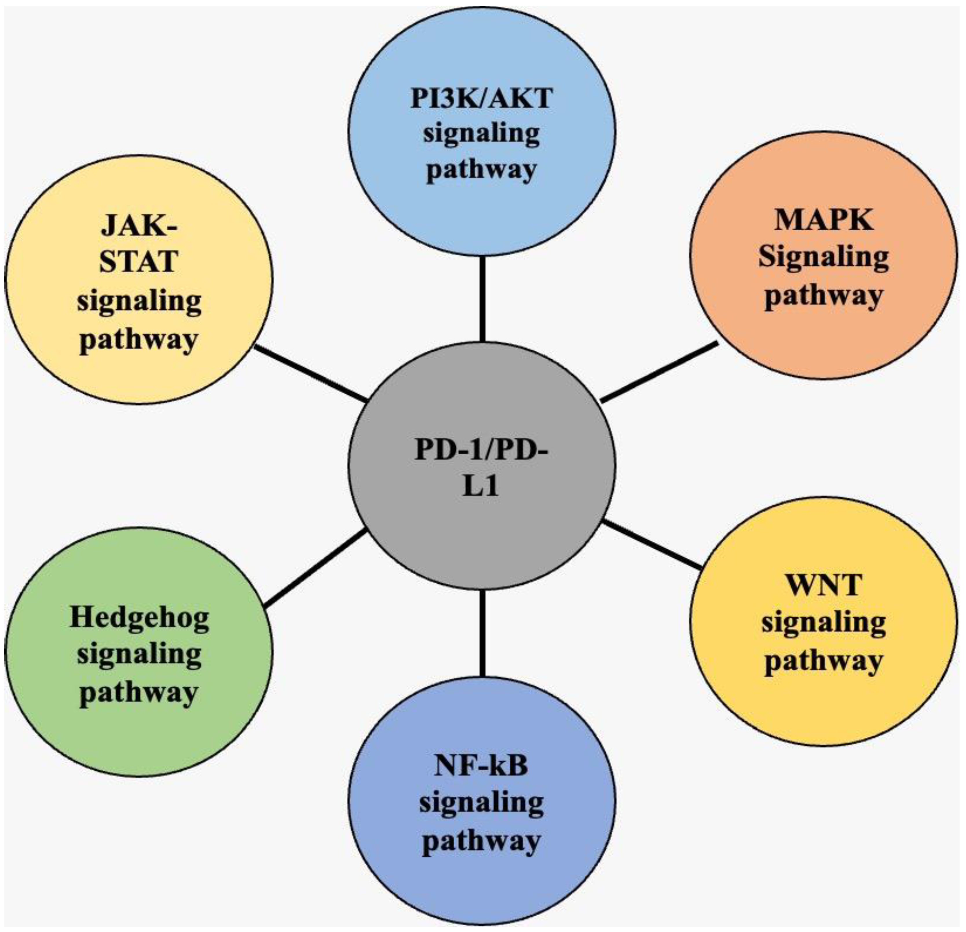 Medicina 58 01572 g002