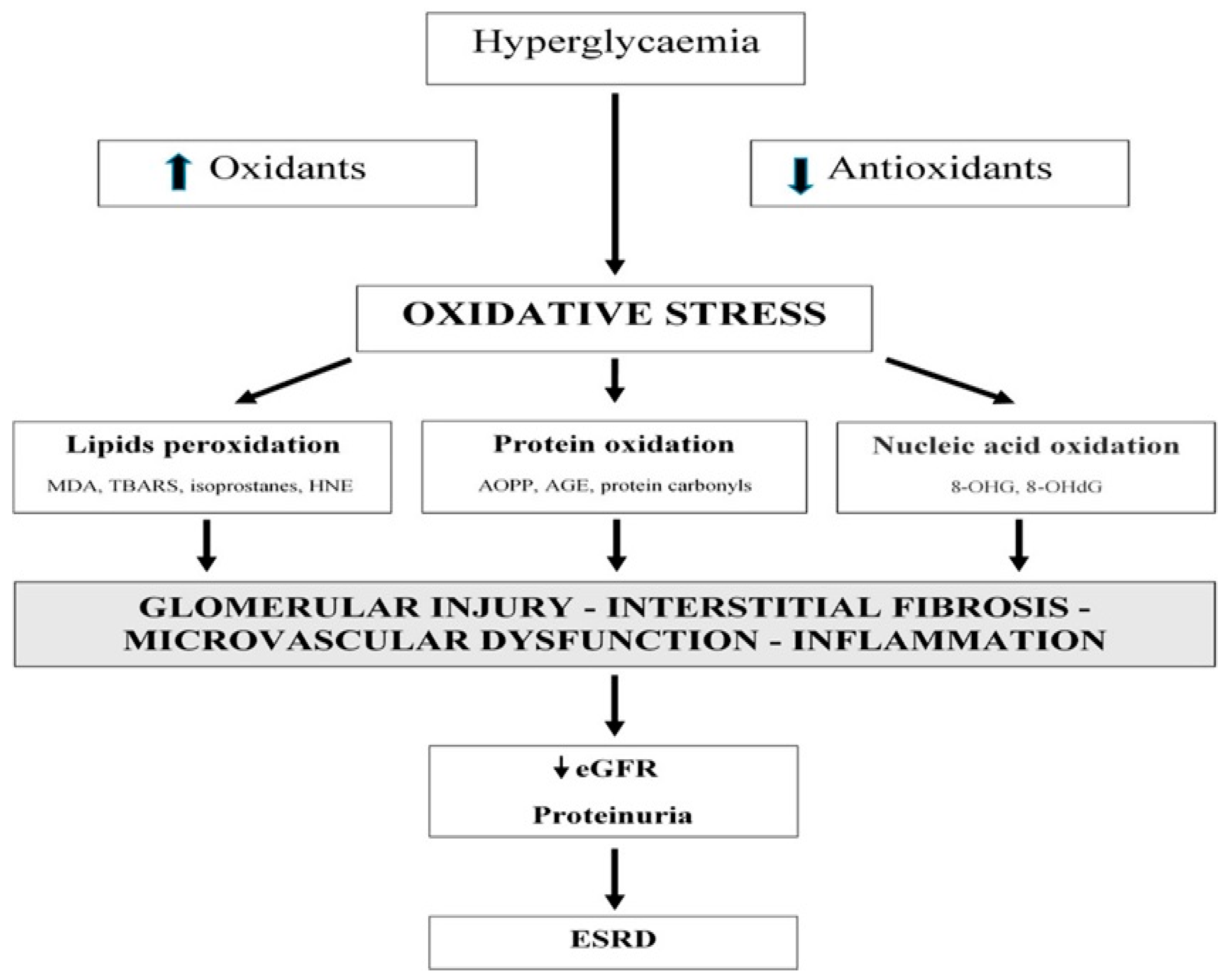 Medicina 58 01604 g001