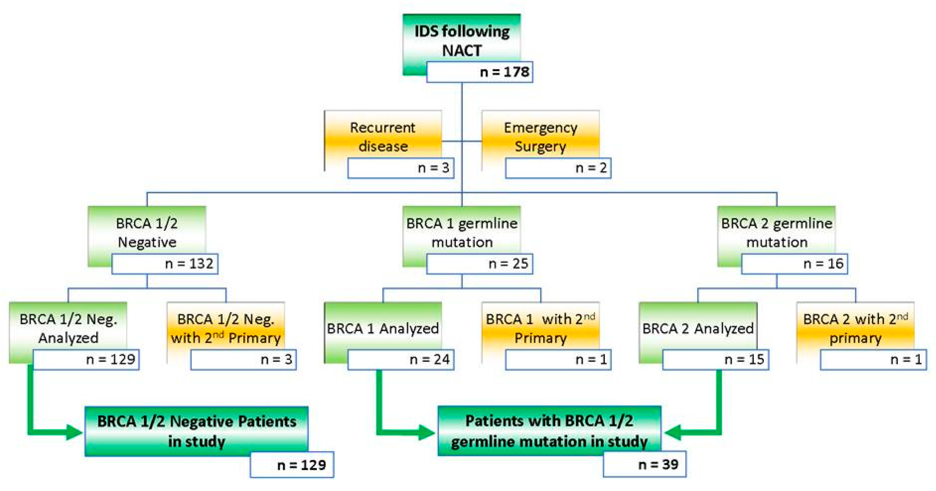 Medicina 58 01611 g001 Medicina 58 01611 g001