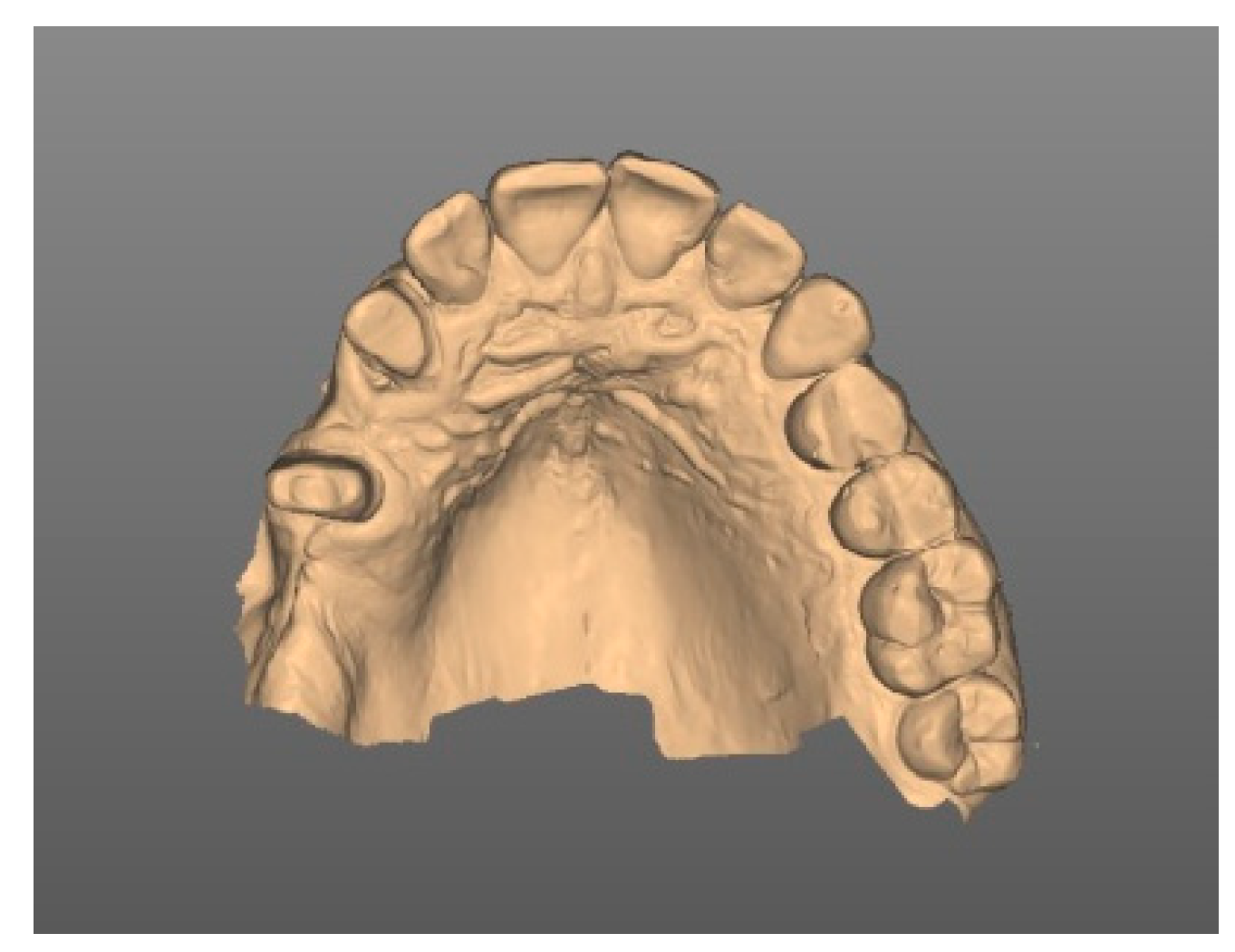 Medicina 58 01612 g002 Medicina 58 01612 g002