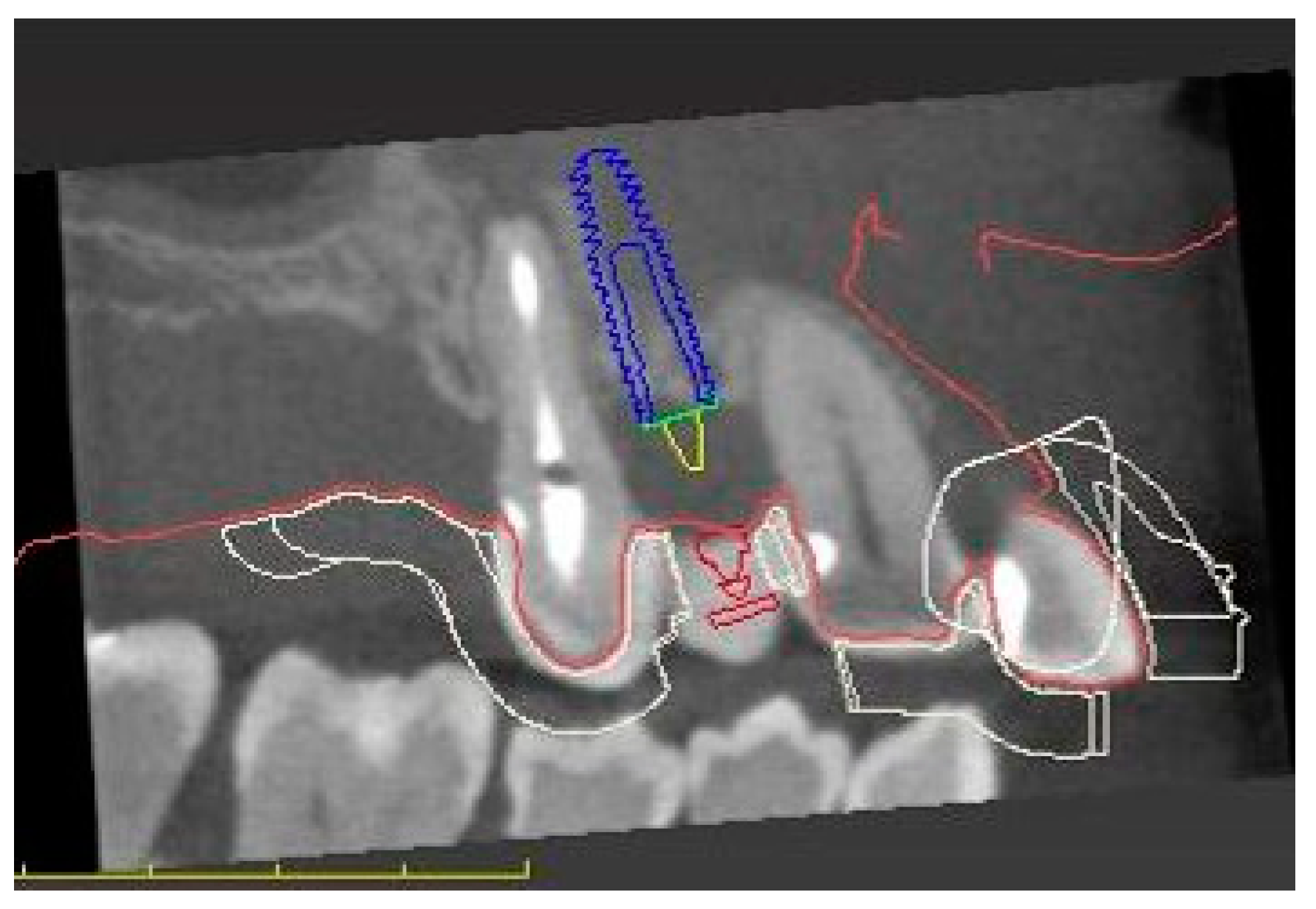 Medicina 58 01612 g003 Medicina 58 01612 g003