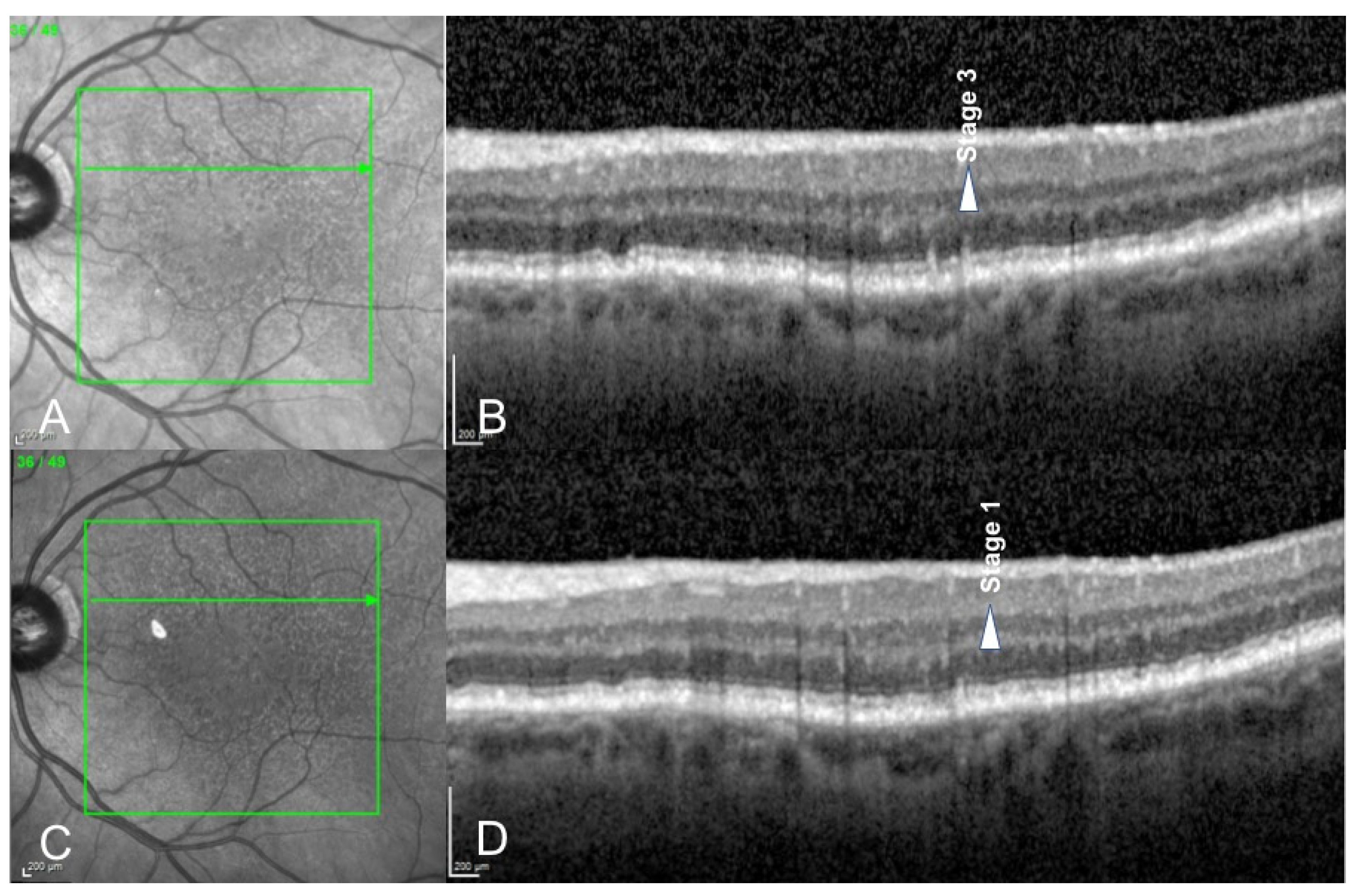 Medicina 58 01662 g003