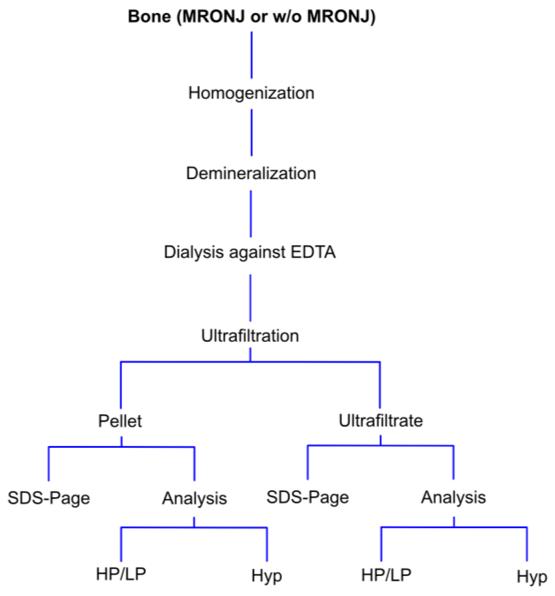 Medicina 58 01690 g001 Medicina 58 01690 g001