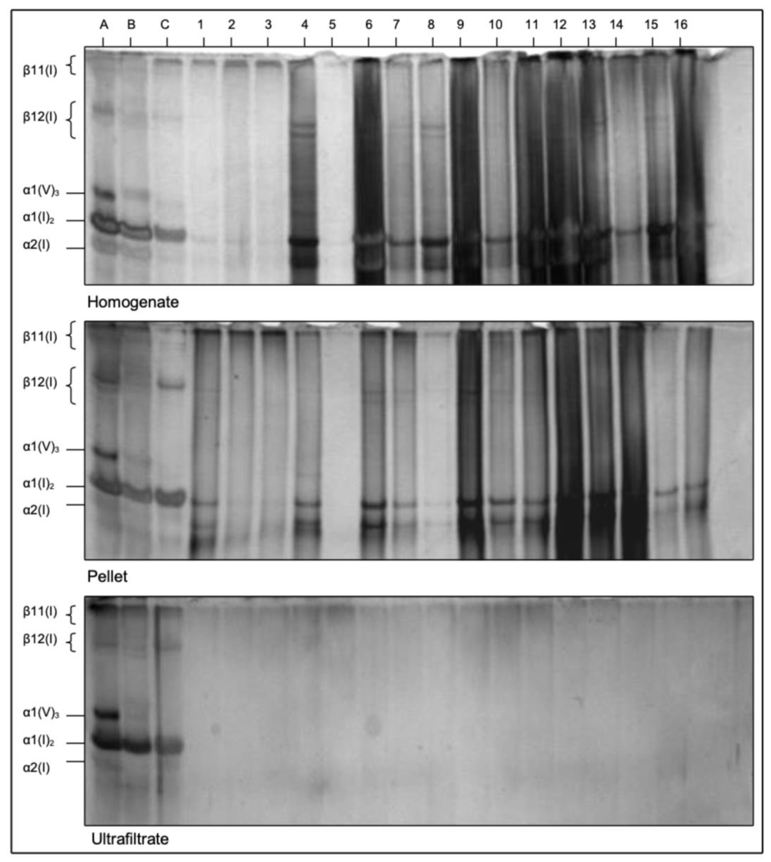 Medicina 58 01690 g004 Medicina 58 01690 g004