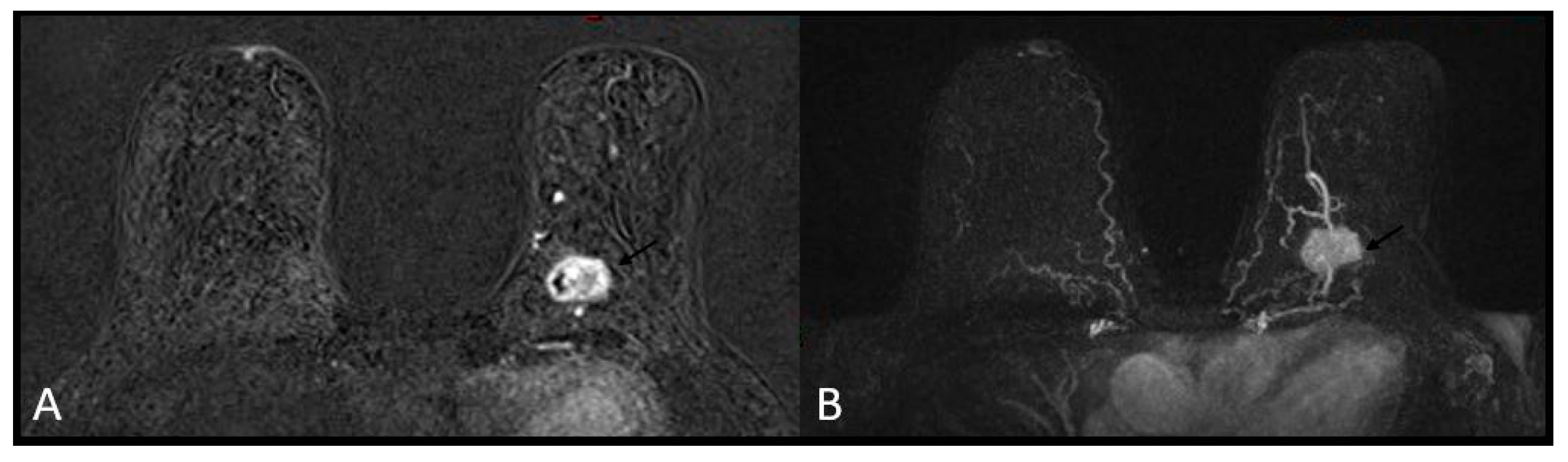 Medicina 58 01716 g003 Medicina 58 01716 g003