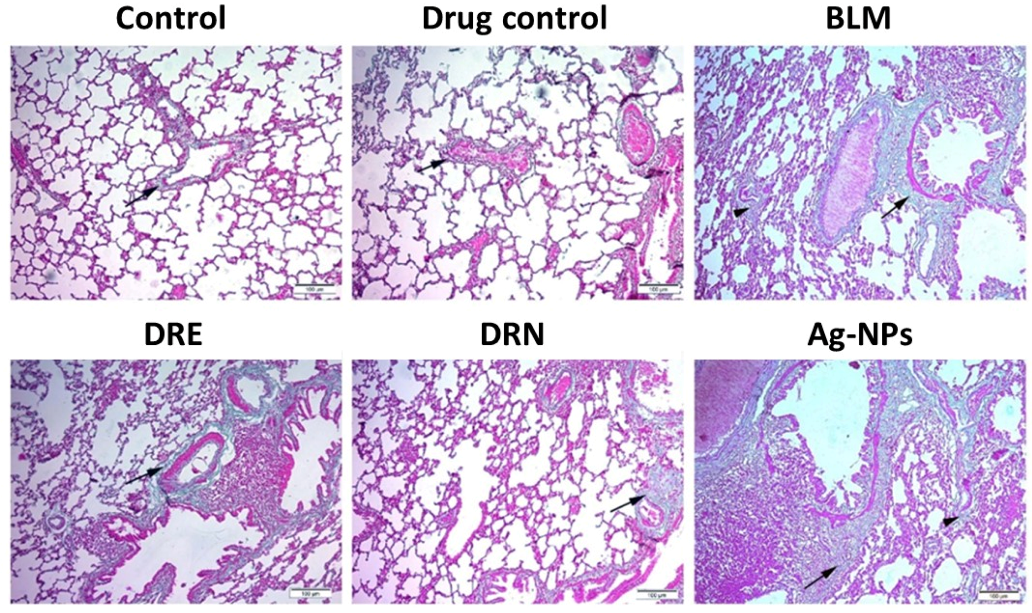 Medicina 58 01719 g003 Medicina 58 01719 g003