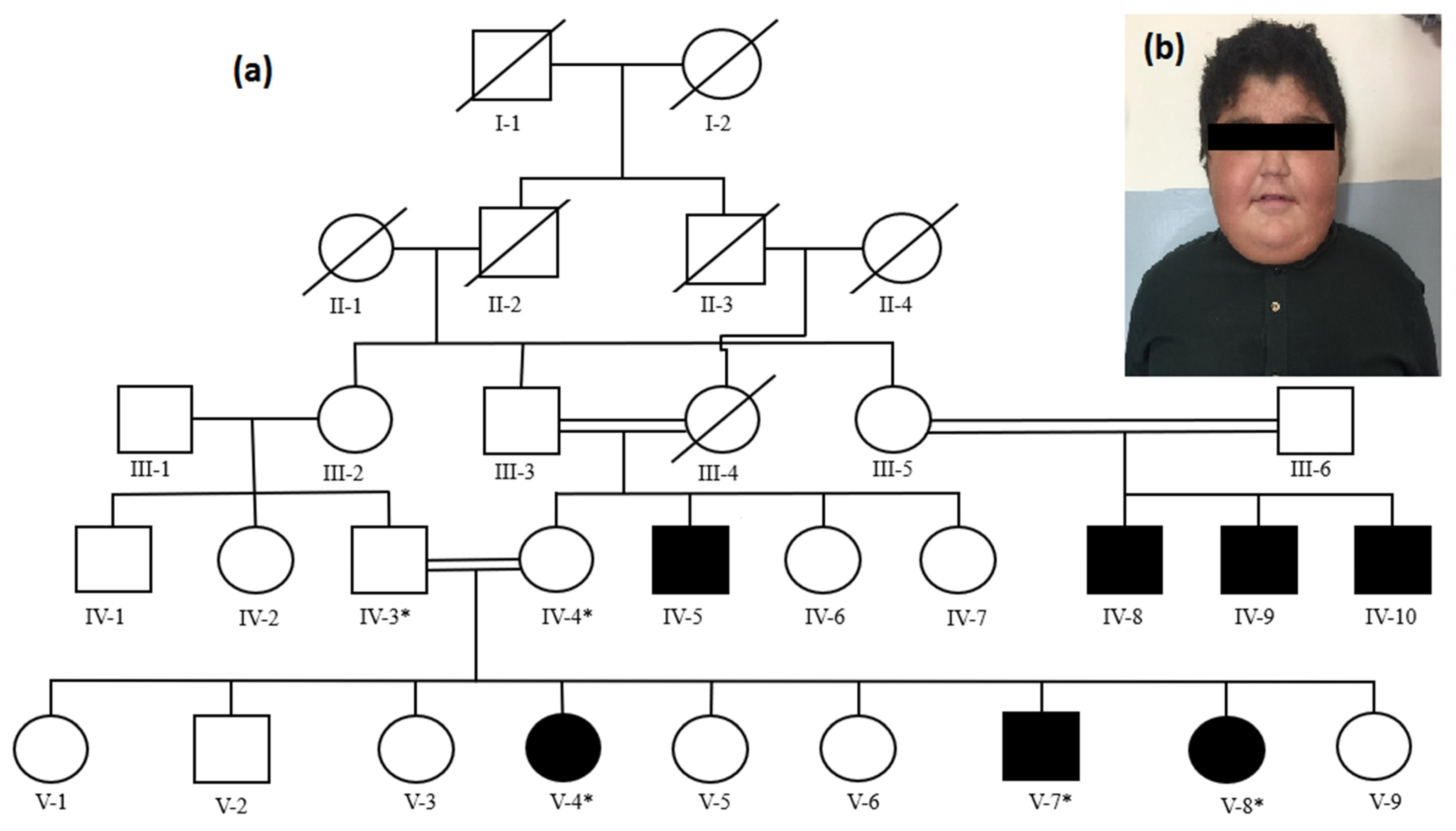Medicina 58 01784 g001 Medicina 58 01784 g001
