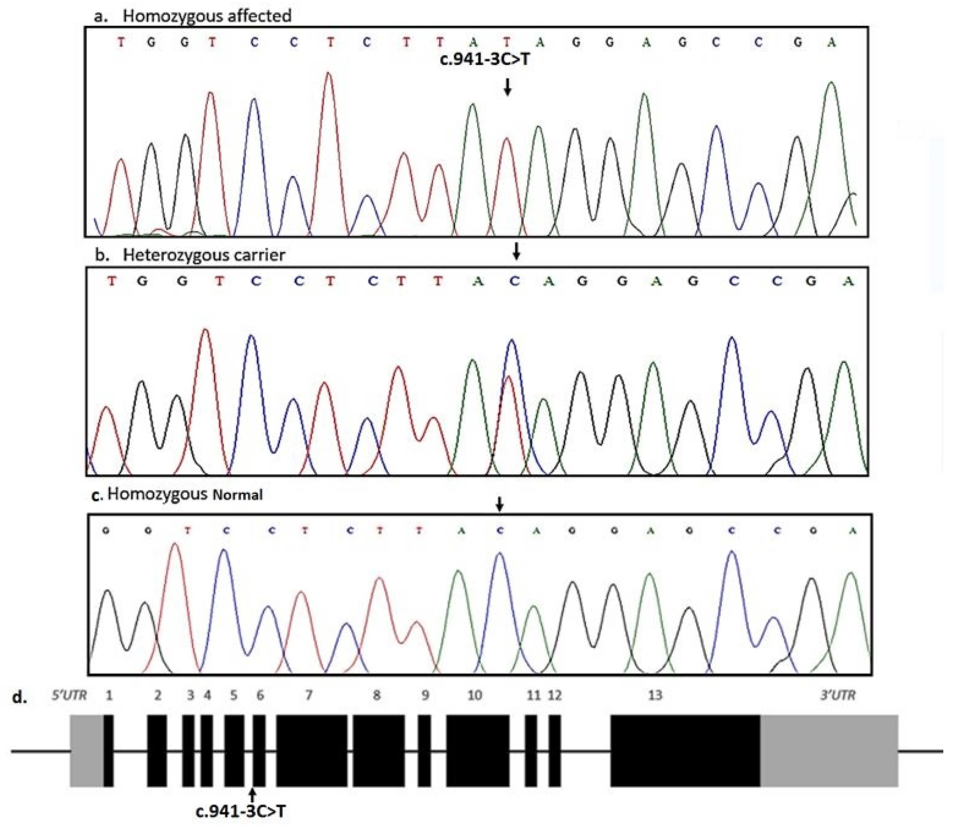 Medicina 58 01784 g002 Medicina 58 01784 g002