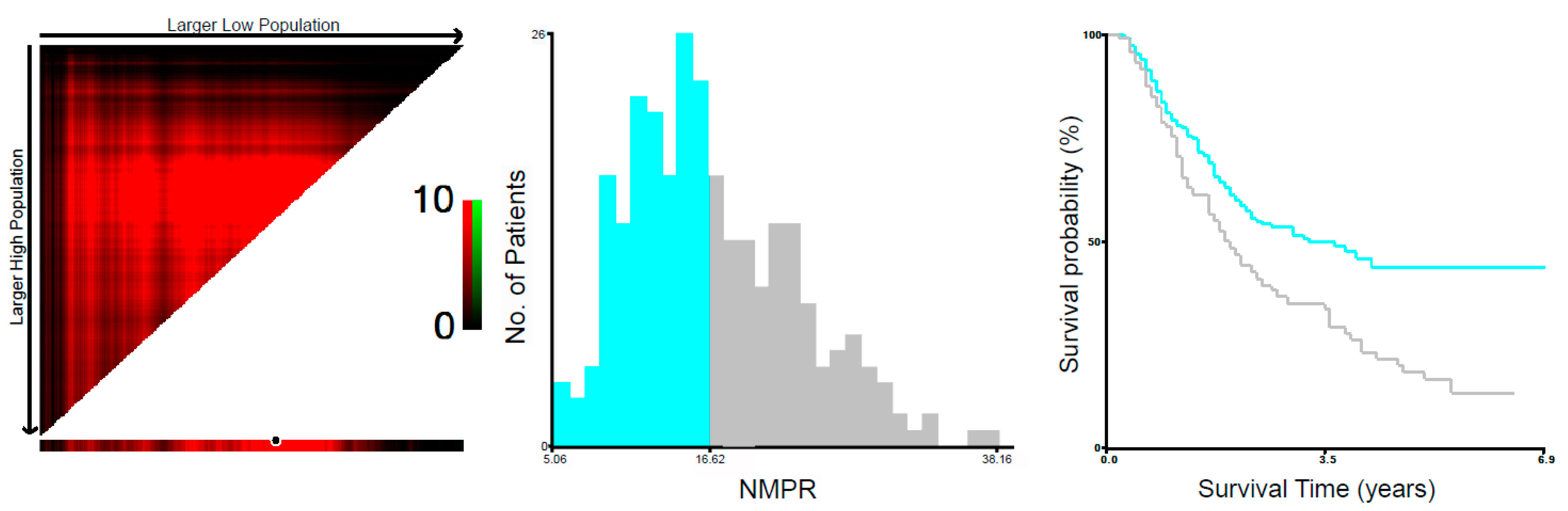 Medicina 58 01808 g001 Medicina 58 01808 g001