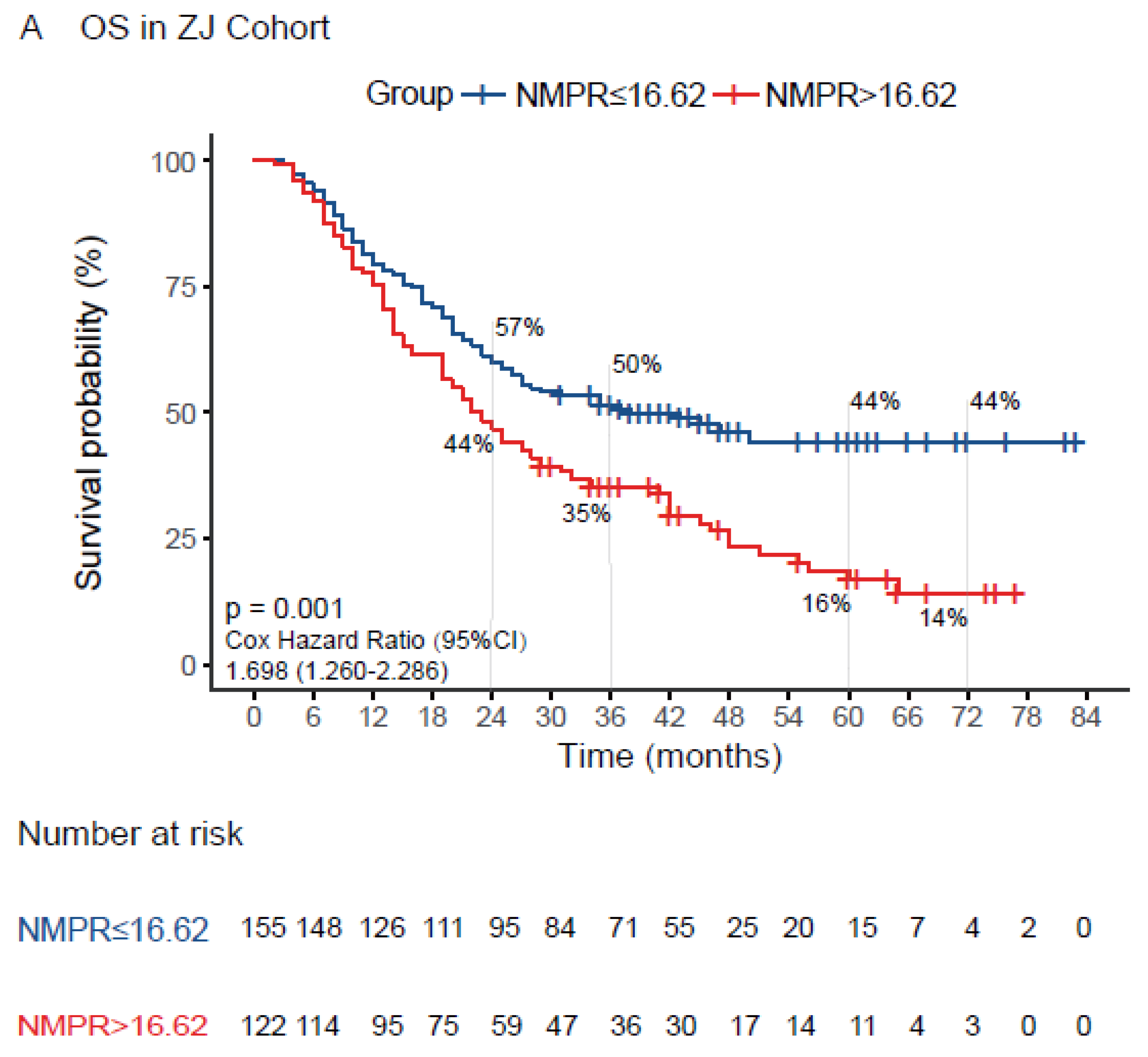 Medicina 58 01808 g003a Medicina 58 01808 g003a