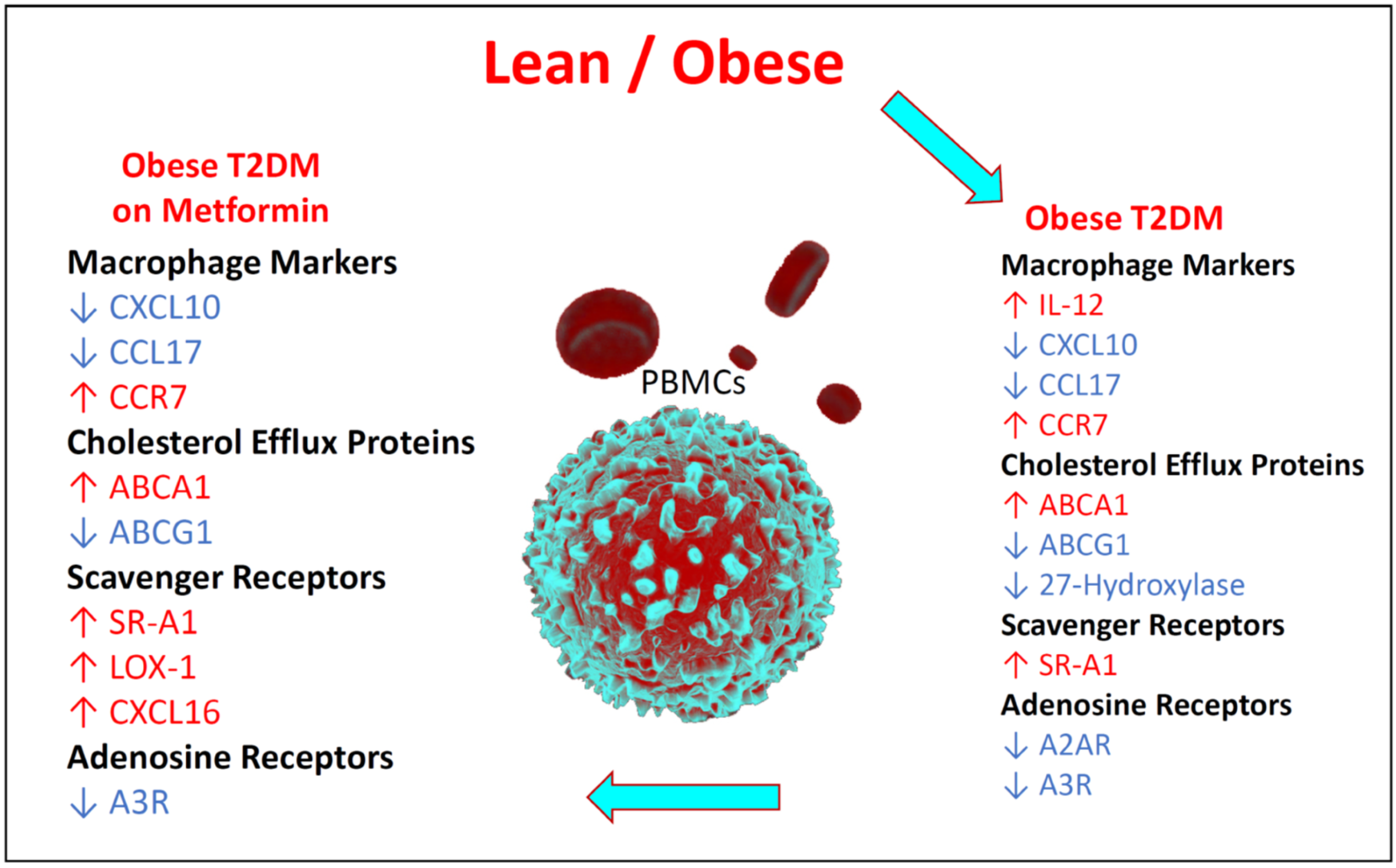Medicina 58 01829 g006