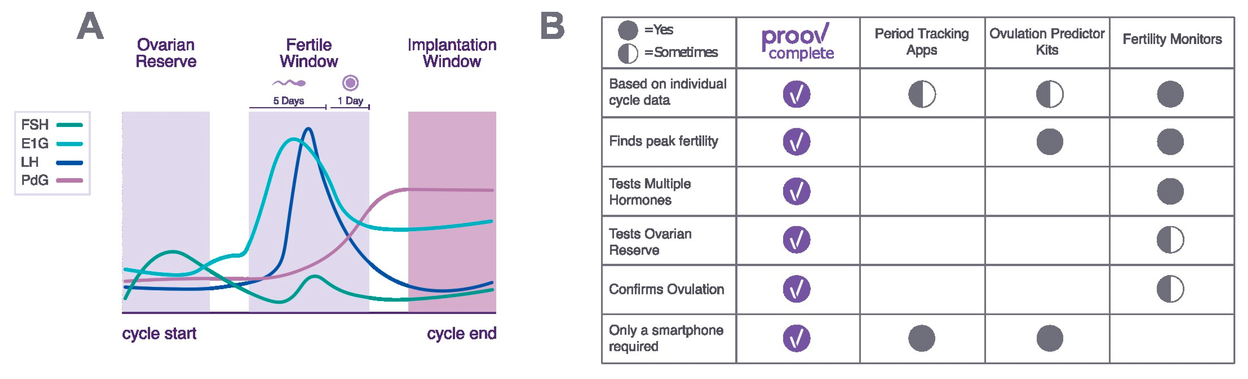Fertile window for four age groups. Probability of conception is