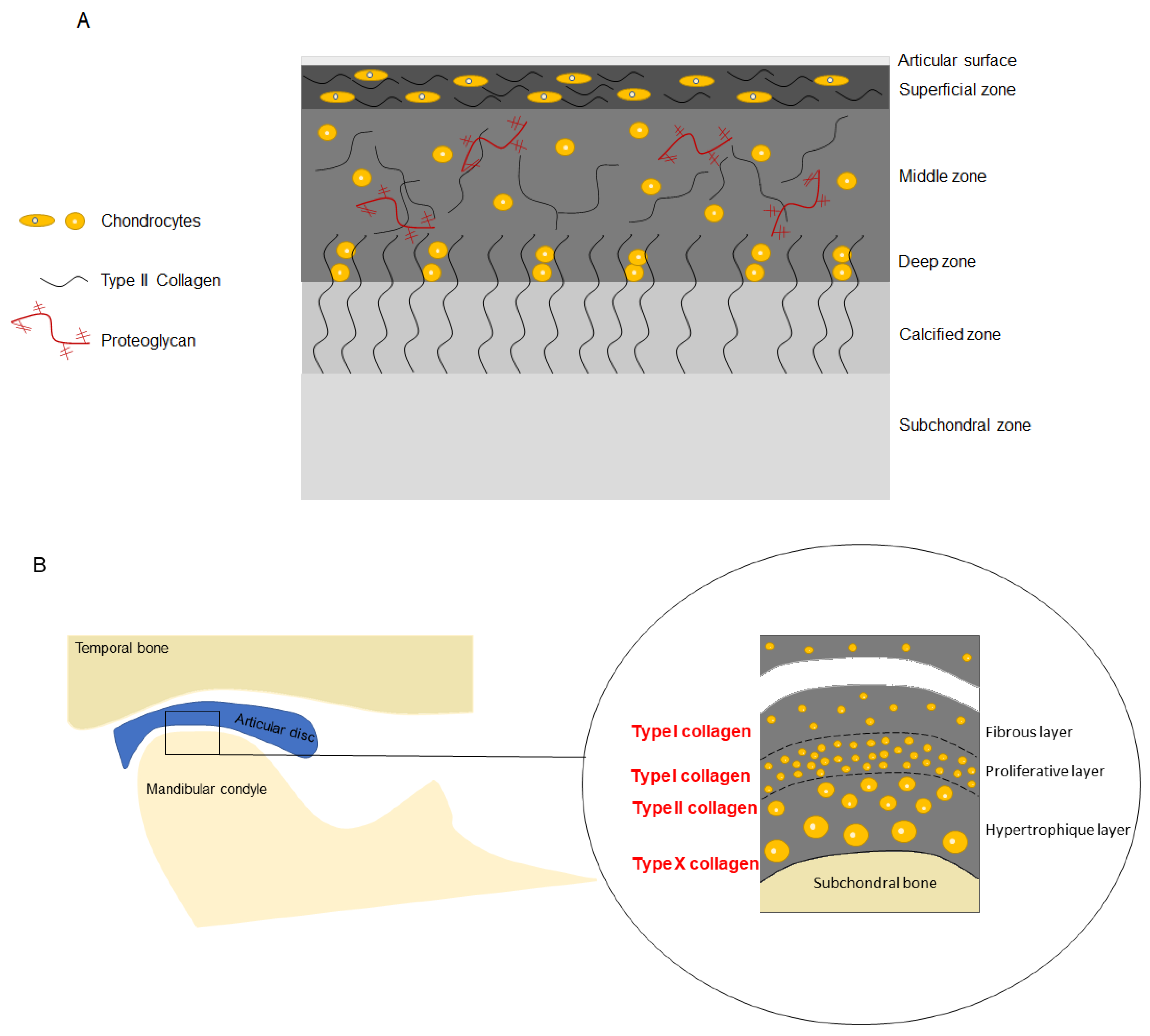 Medicina 59 00008 g002