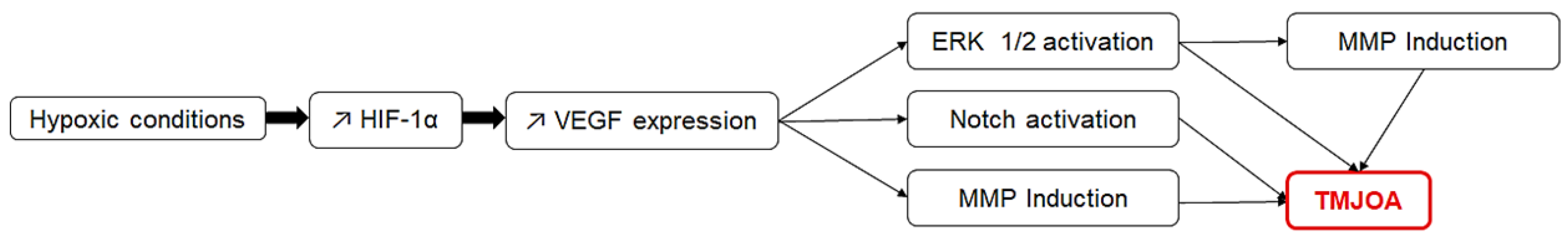 Medicina 59 00008 g003