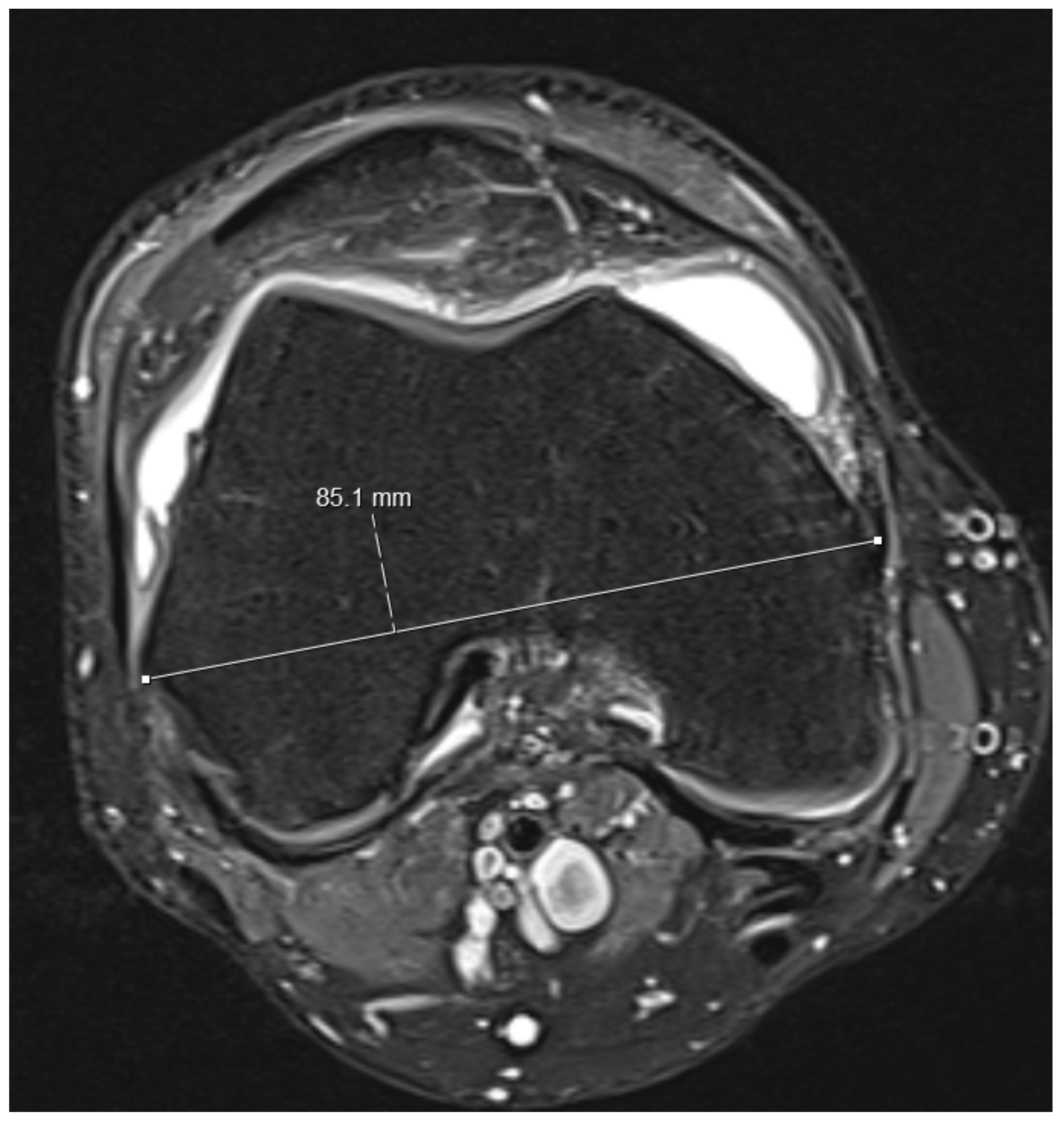 Medicina 59 00027 g003 Medicina 59 00027 g003