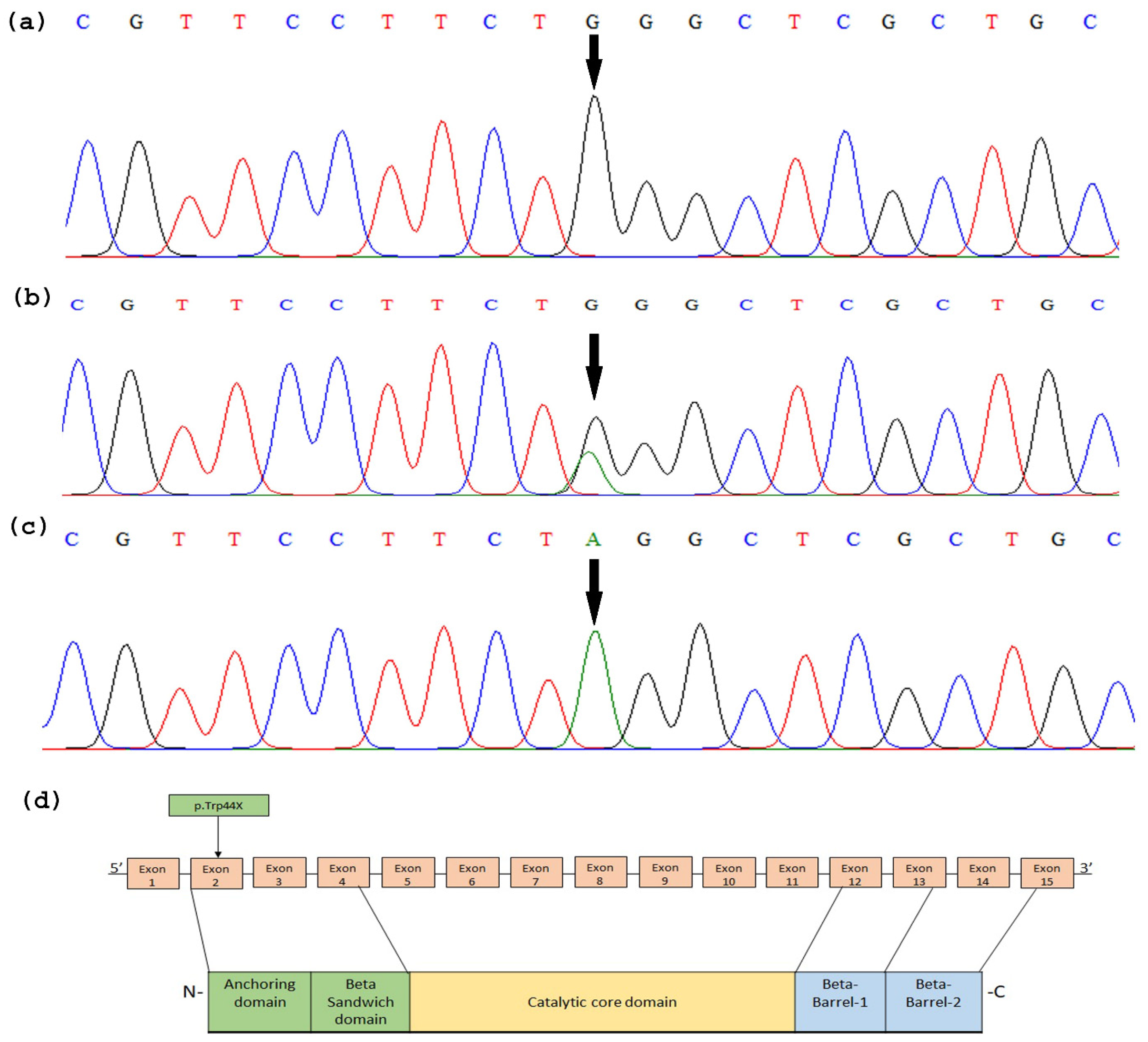 Medicina 59 00103 g002 Medicina 59 00103 g002