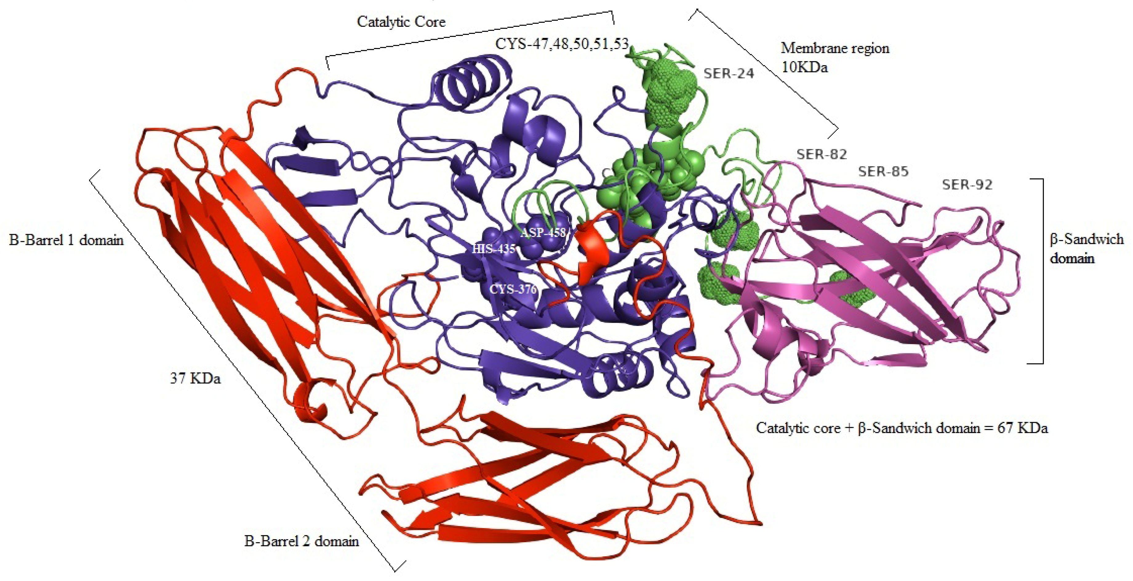 Medicina 59 00103 g003 Medicina 59 00103 g003