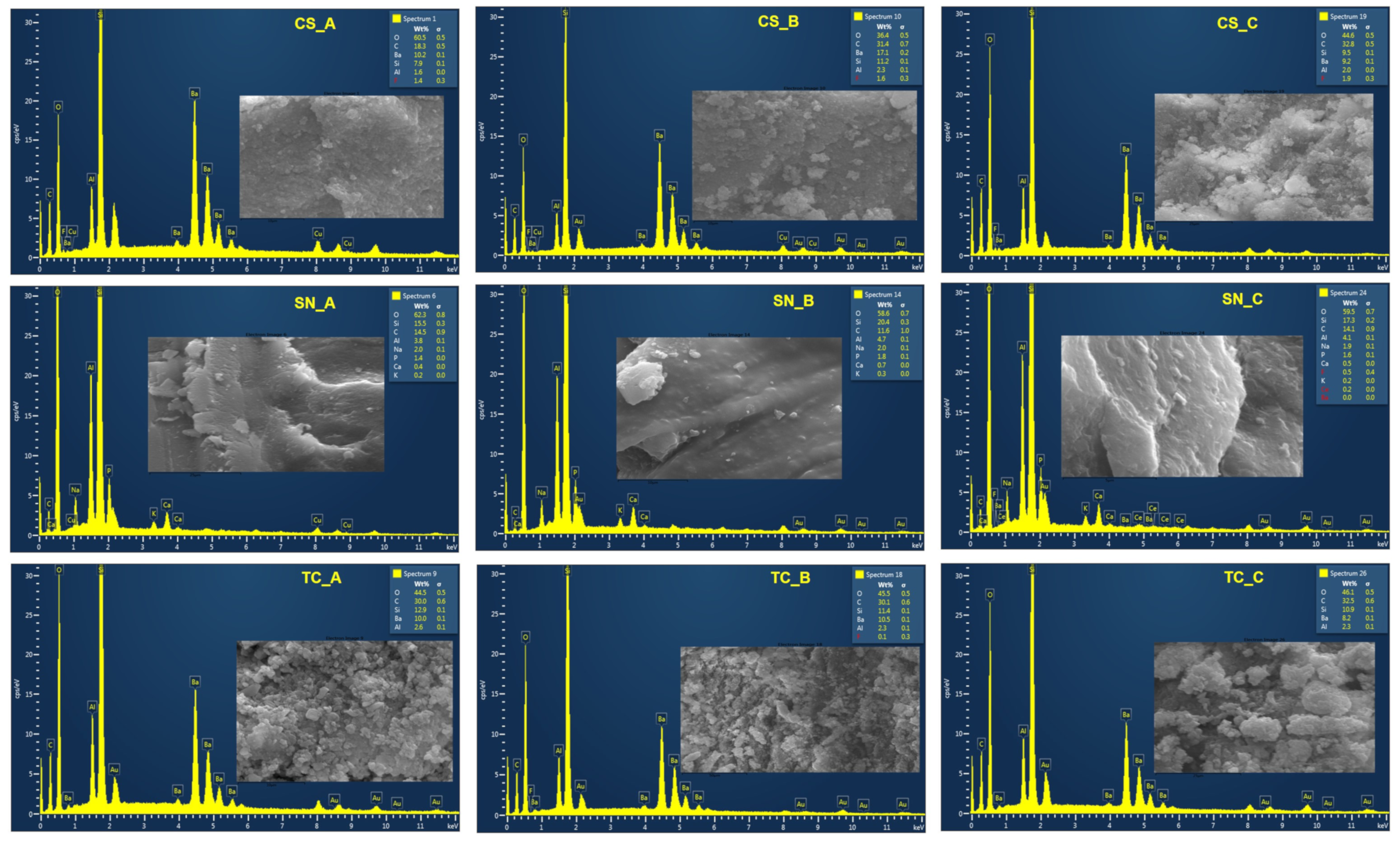 Medicina 59 00104 g005