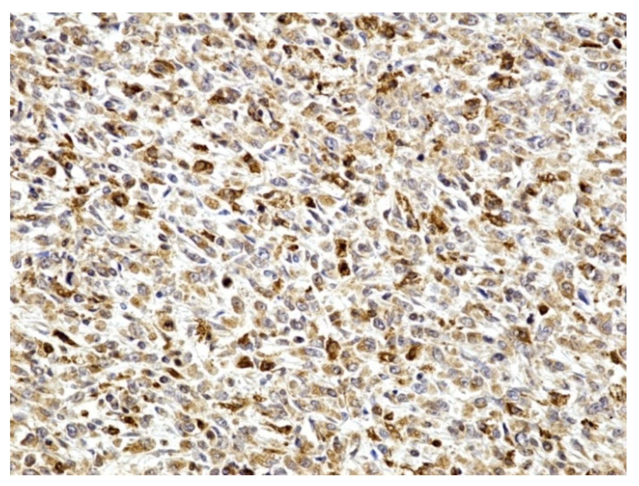 Medicina 59 00156 g004 Medicina 59 00156 g004