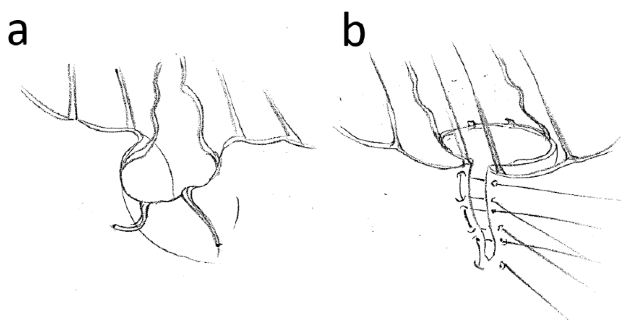 Medicina 59 00218 g002 Medicina 59 00218 g002