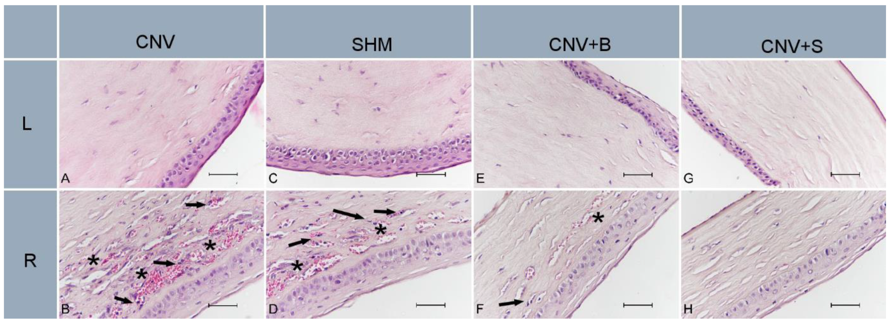 Medicina 59 00323 g002