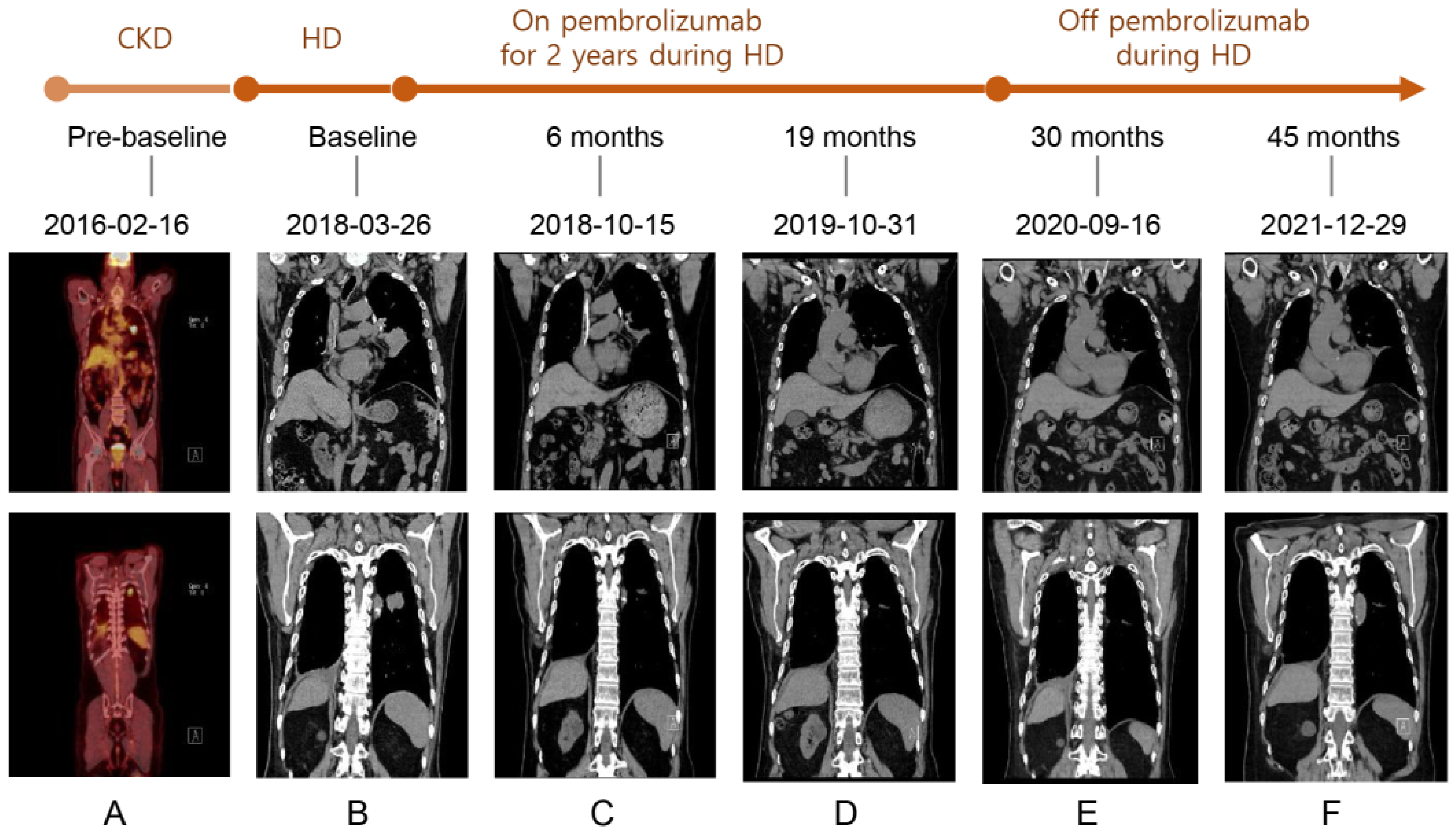 Medicina 59 00325 g001