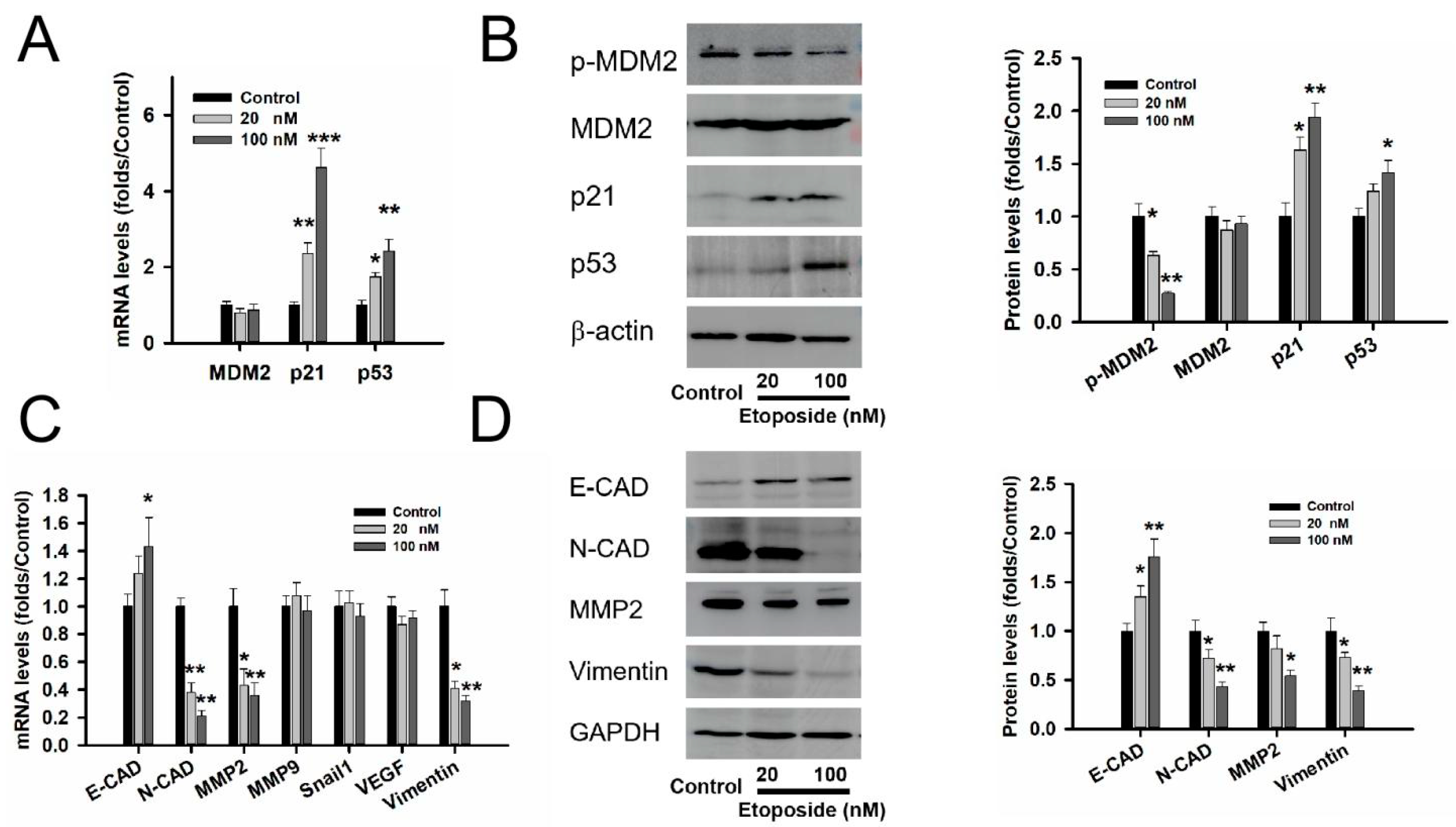 Medicina 59 00373 g003