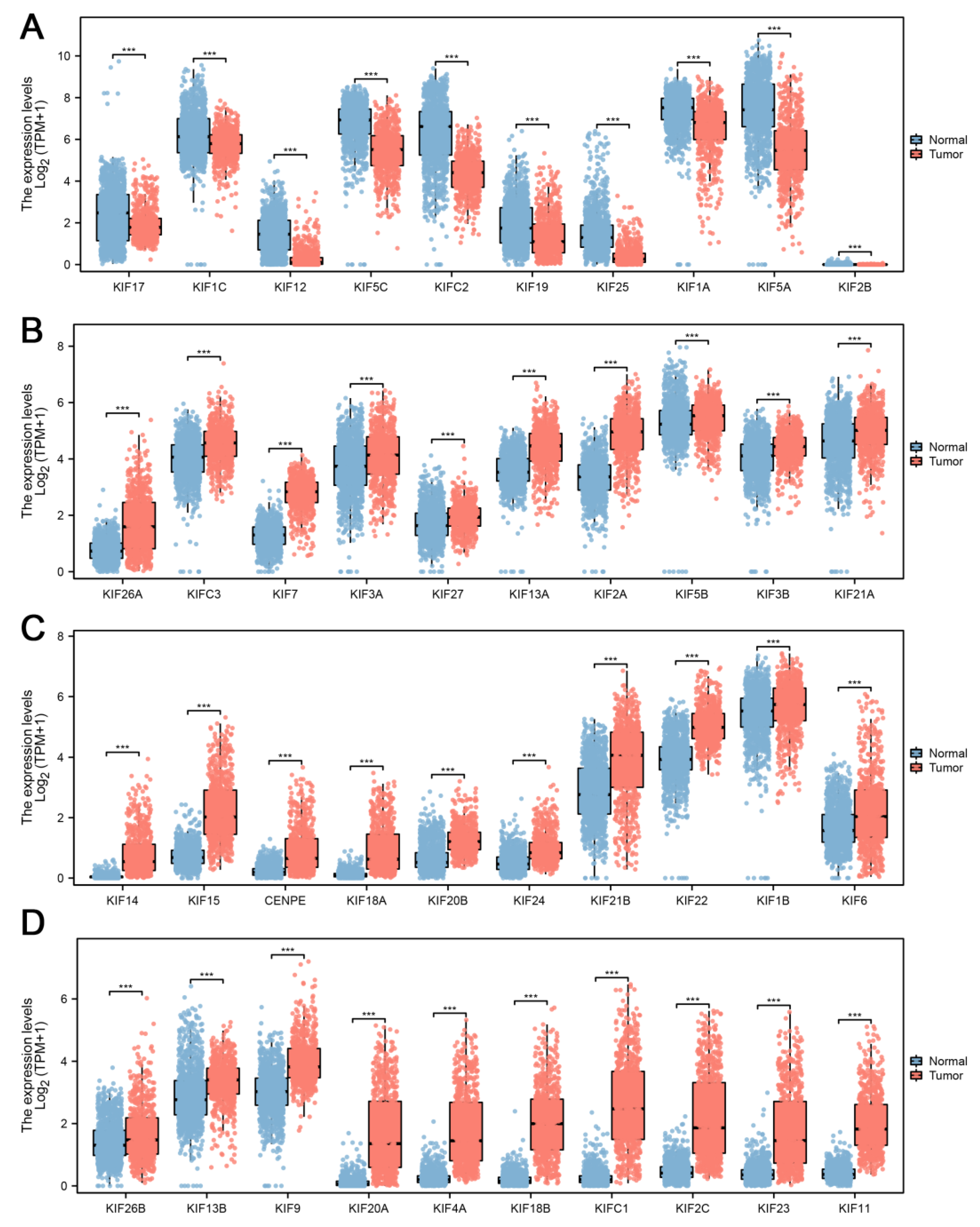 Medicina 59 00414 g002 Medicina 59 00414 g002