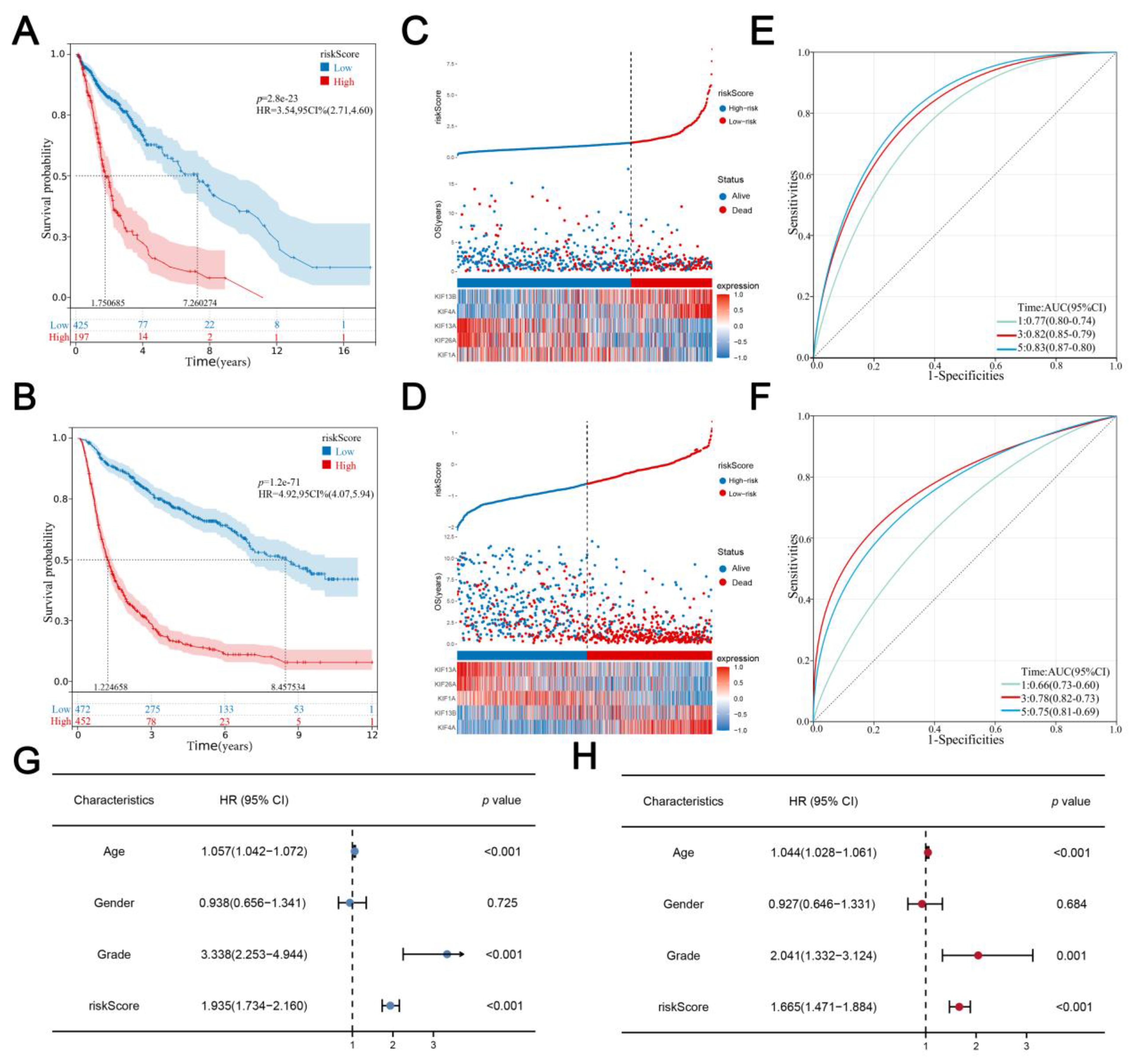 Medicina 59 00414 g004 Medicina 59 00414 g004