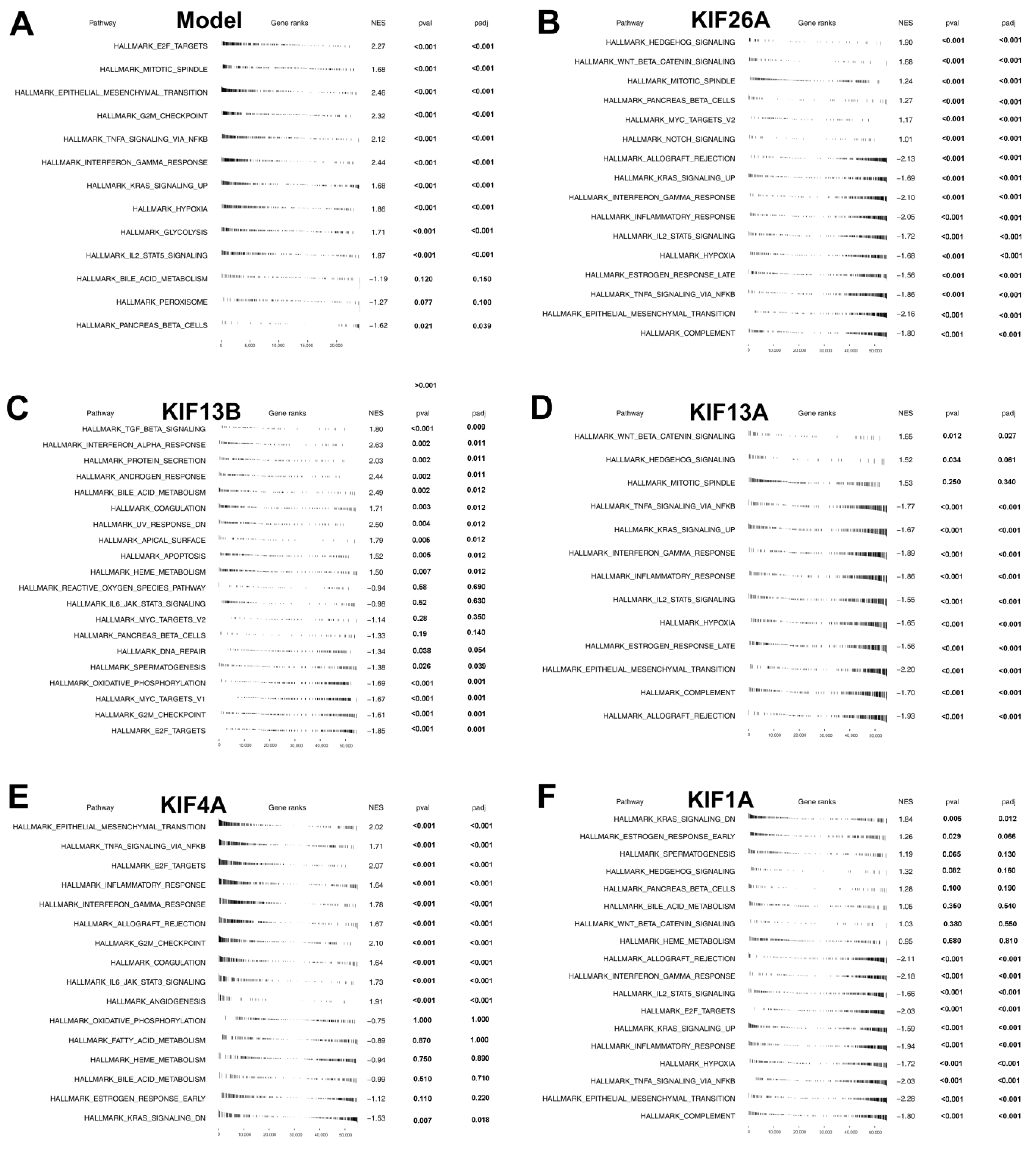 Medicina 59 00414 g005 Medicina 59 00414 g005