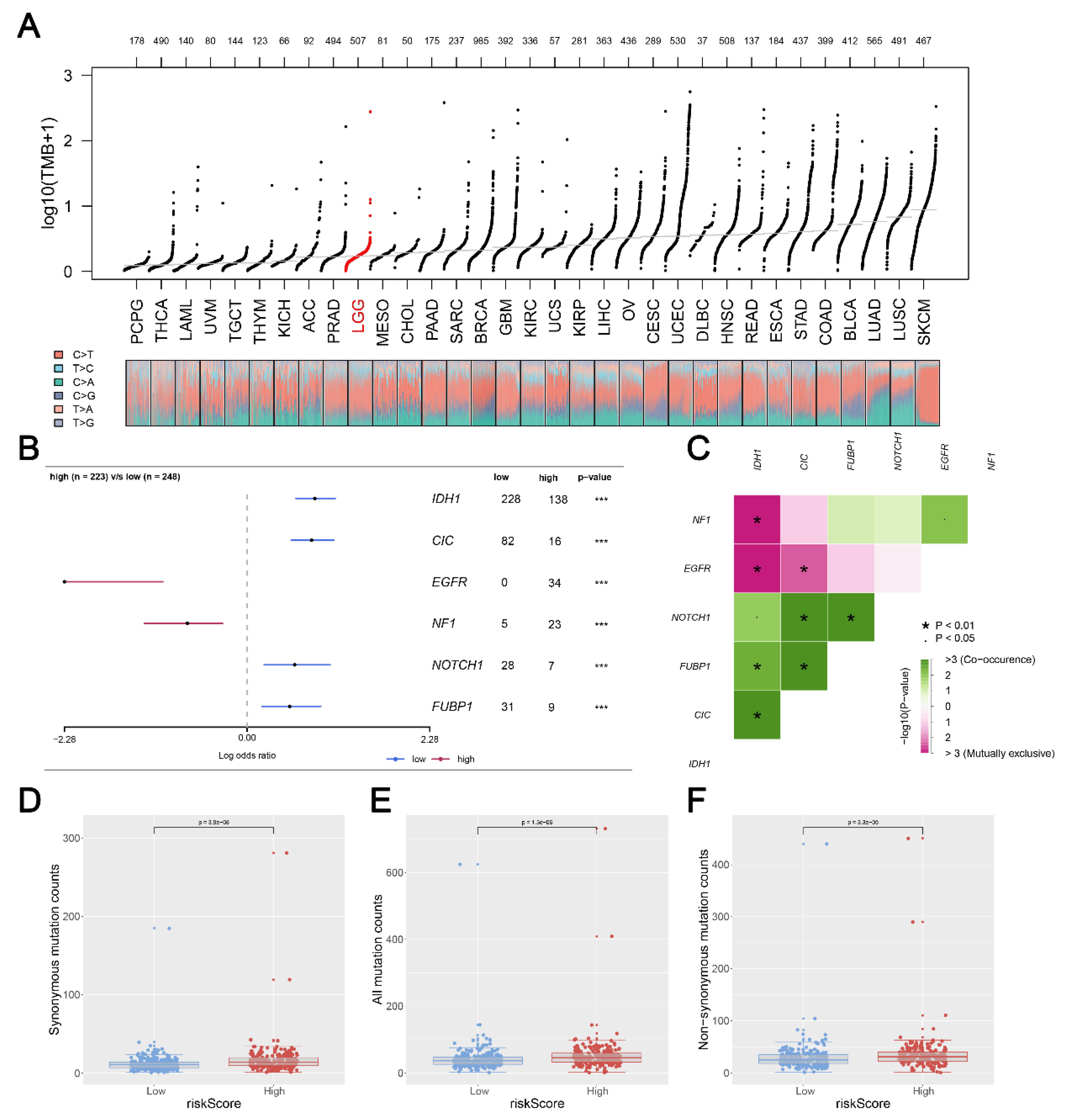 Medicina 59 00414 g007 Medicina 59 00414 g007