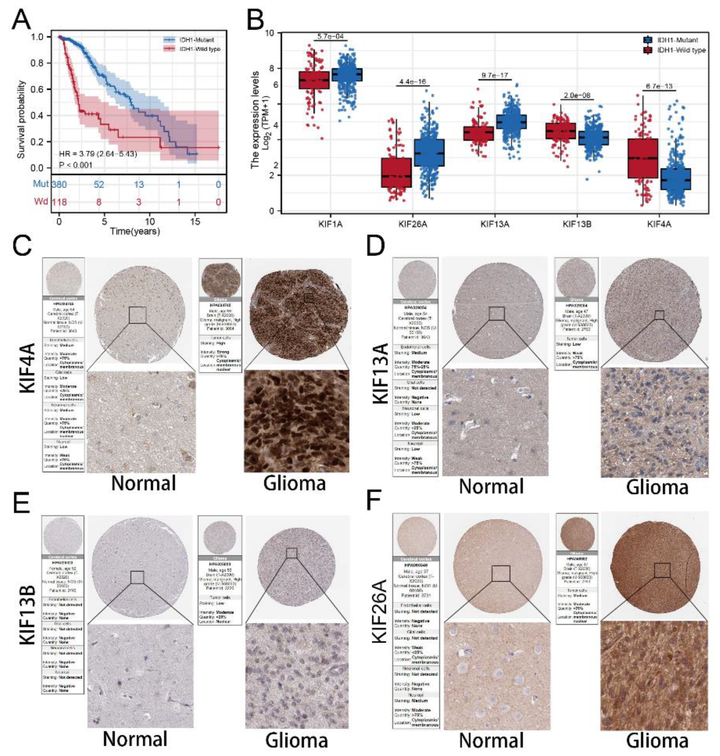 Medicina 59 00414 g008 Medicina 59 00414 g008