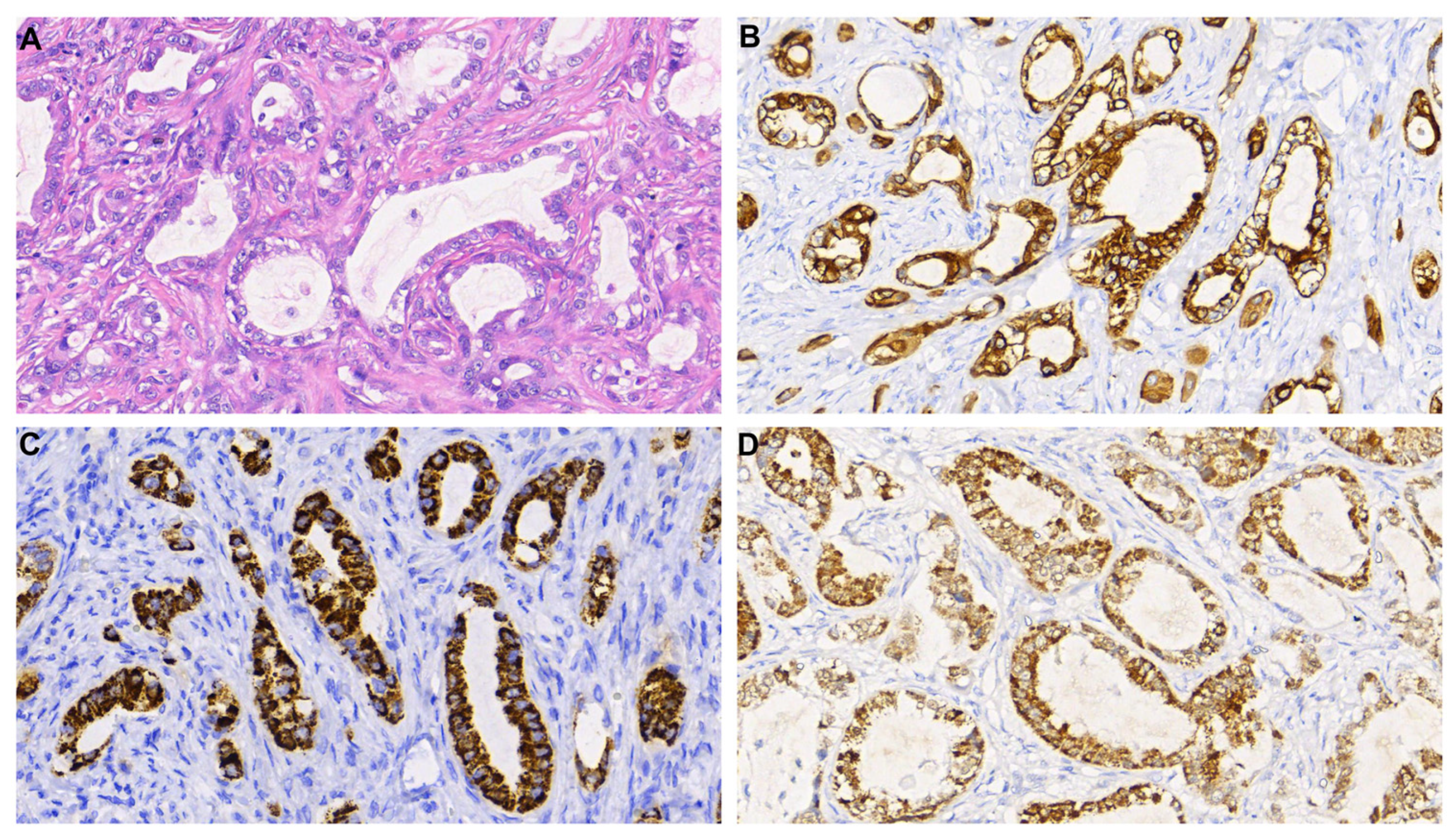 Medicina 59 00459 g003 Medicina 59 00459 g003