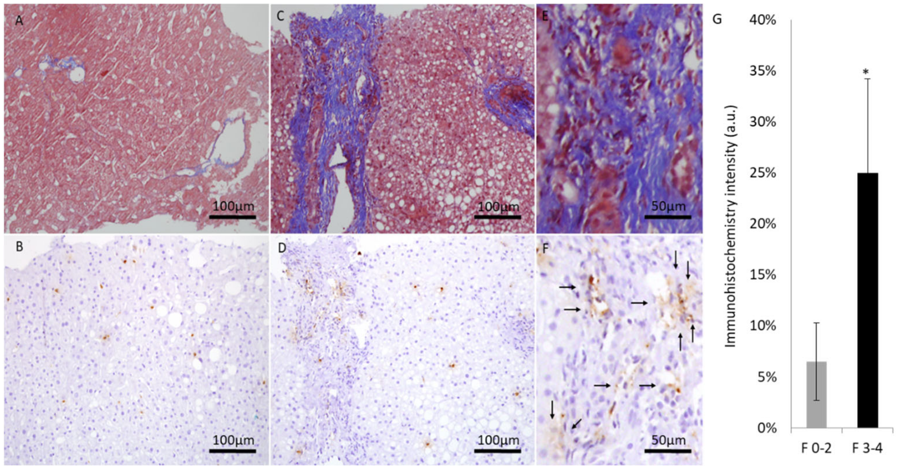 Medicina 59 00496 g003 Medicina 59 00496 g003