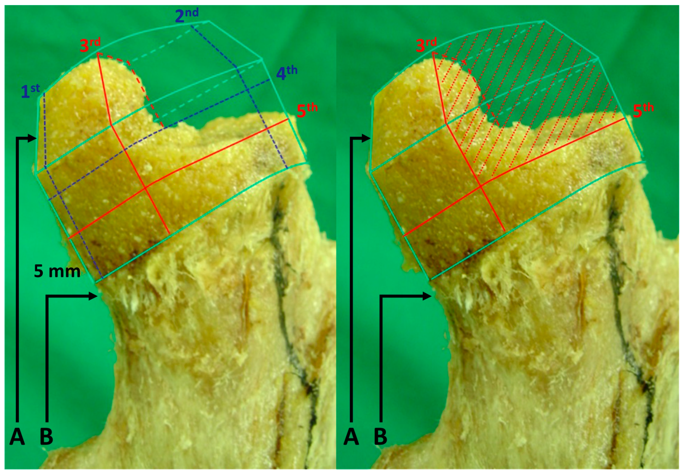 Medicina 59 00508 g002