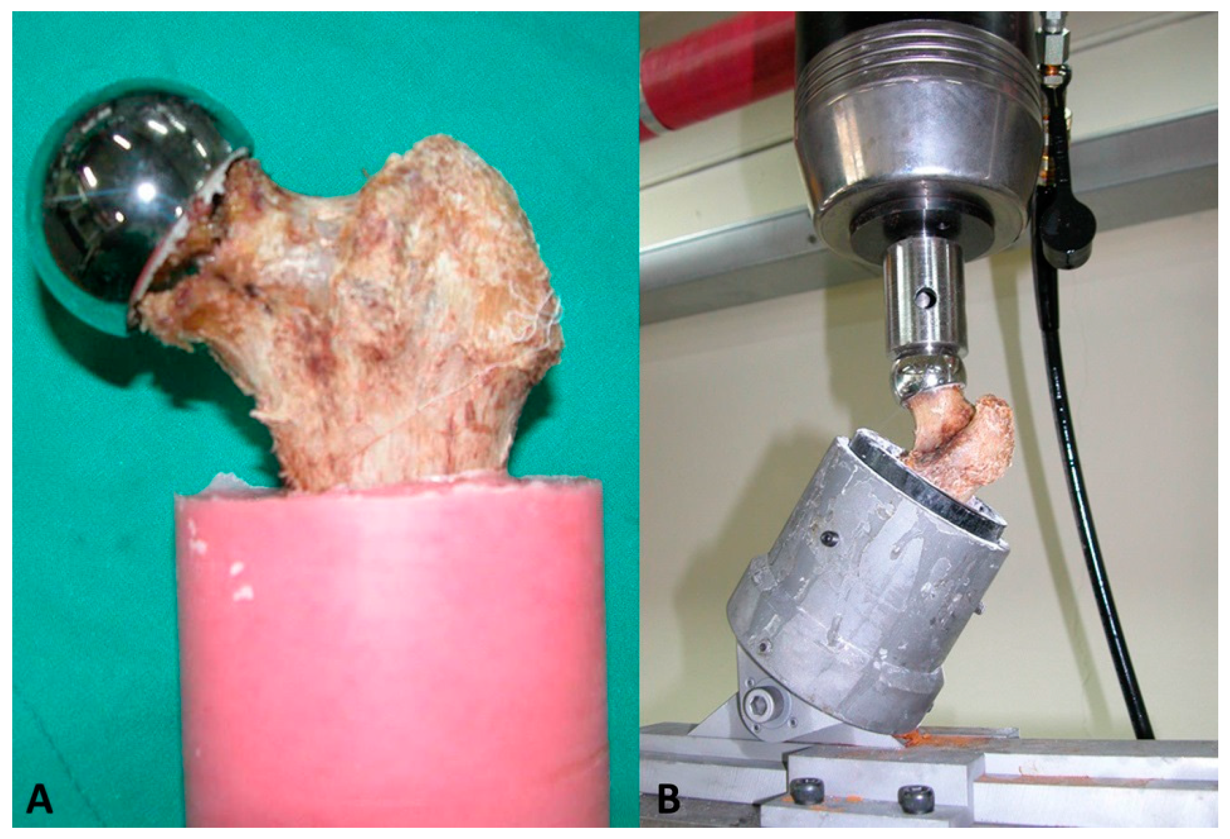 Medicina 59 00508 g003