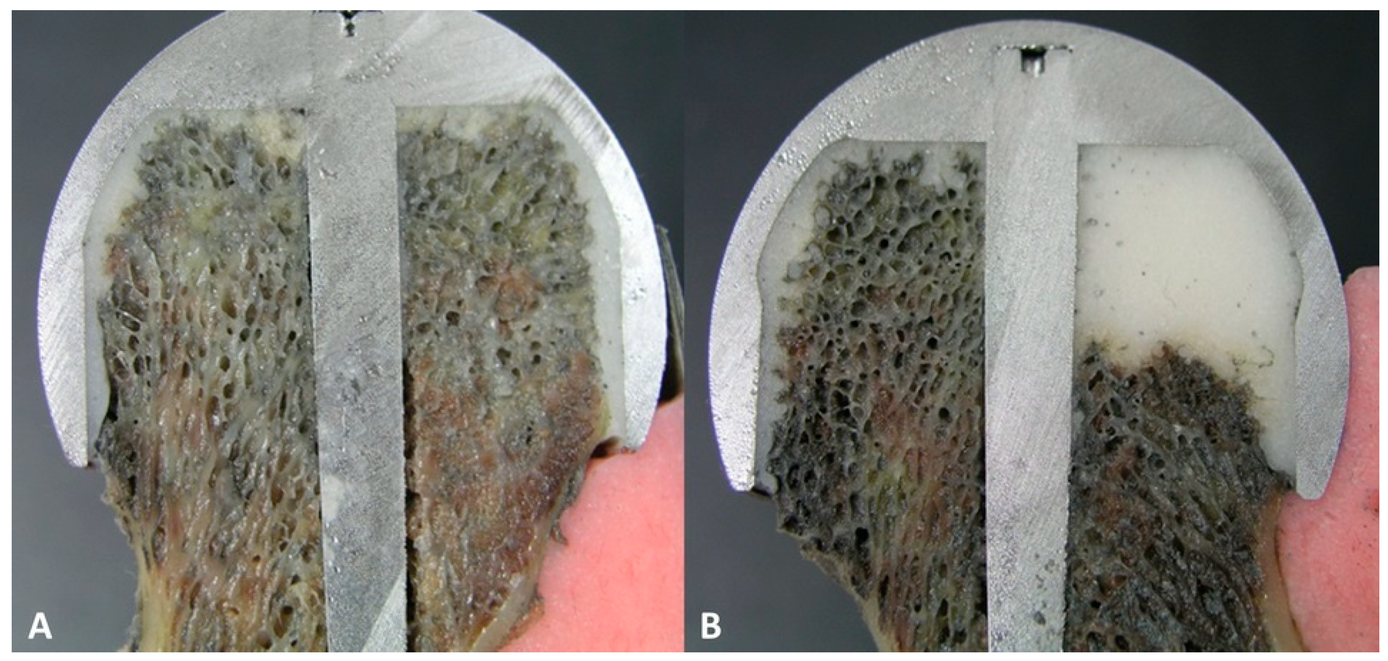 Medicina 59 00508 g004